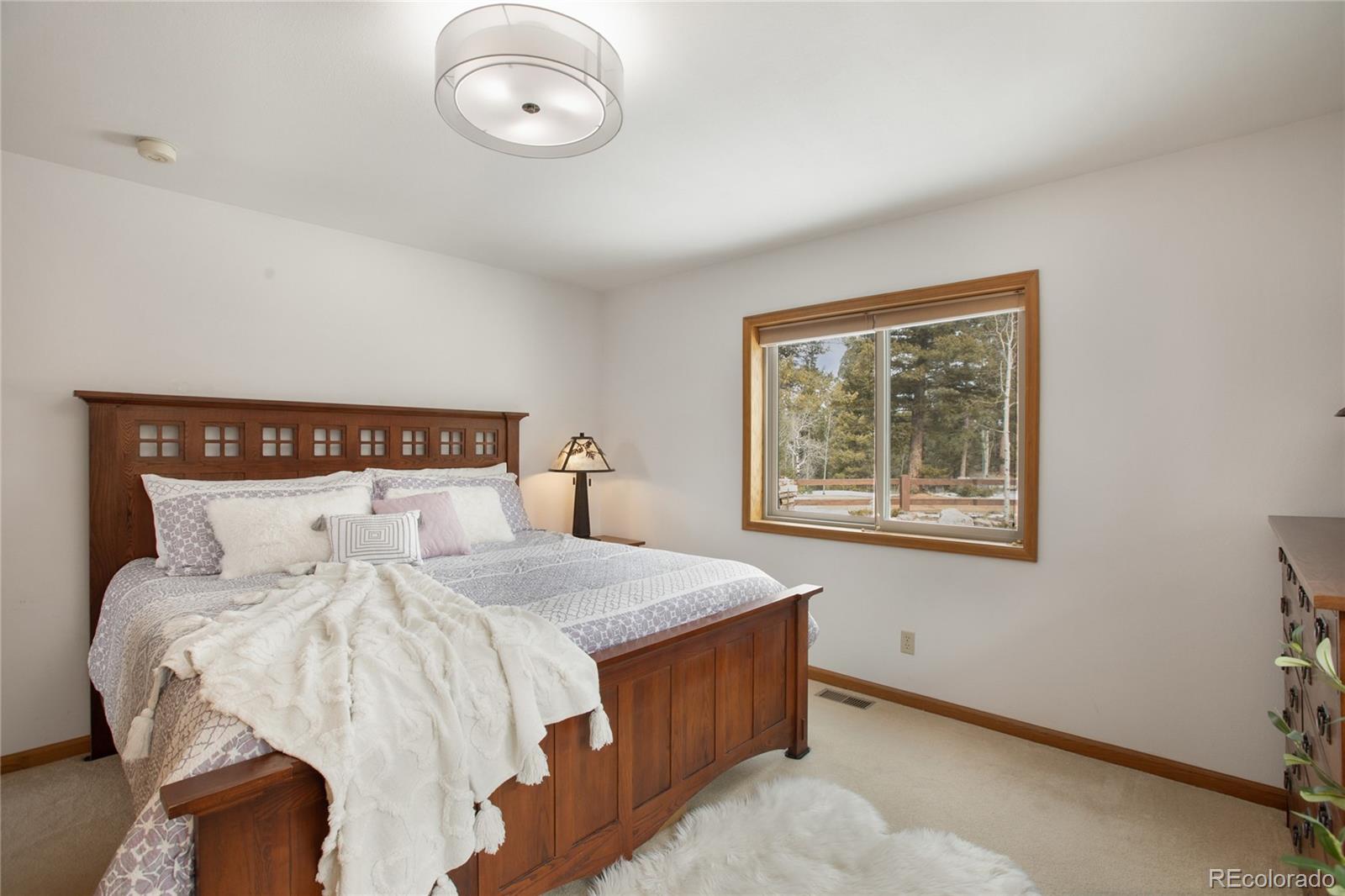 MLS Image #21 for 4261  county road 51 ,divide, Colorado