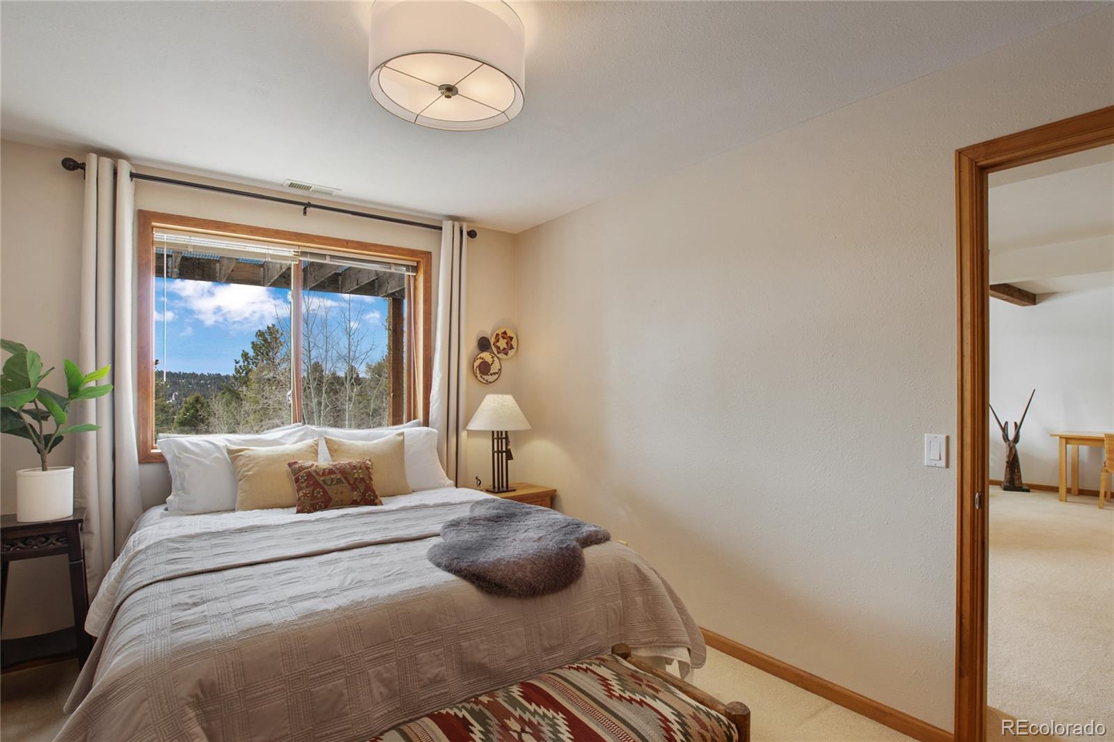 MLS Image #27 for 4261  county road 51 ,divide, Colorado