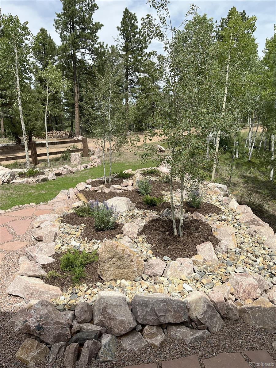 MLS Image #3 for 4261  county road 51 ,divide, Colorado