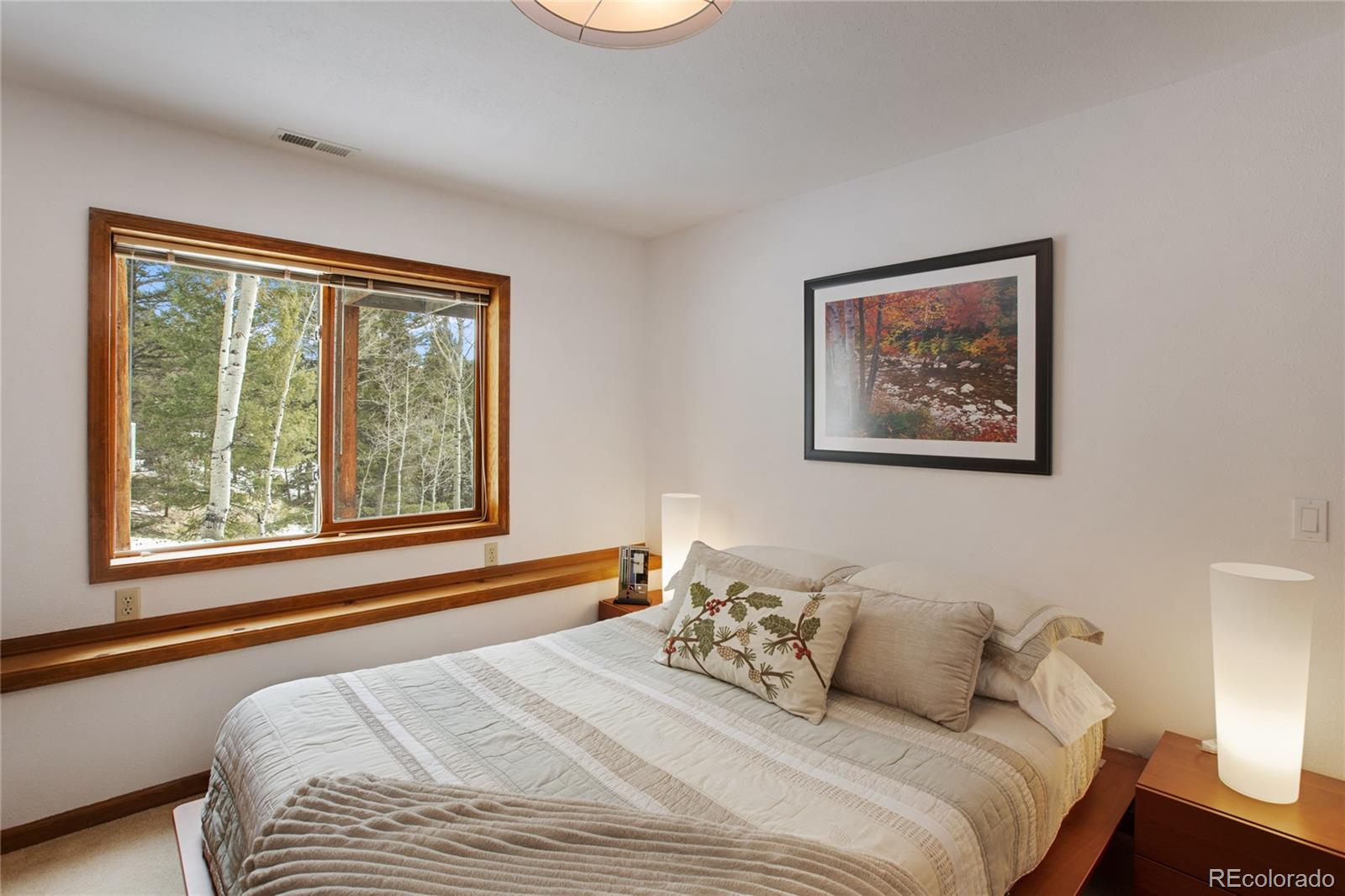 MLS Image #32 for 4261  county road 51 ,divide, Colorado