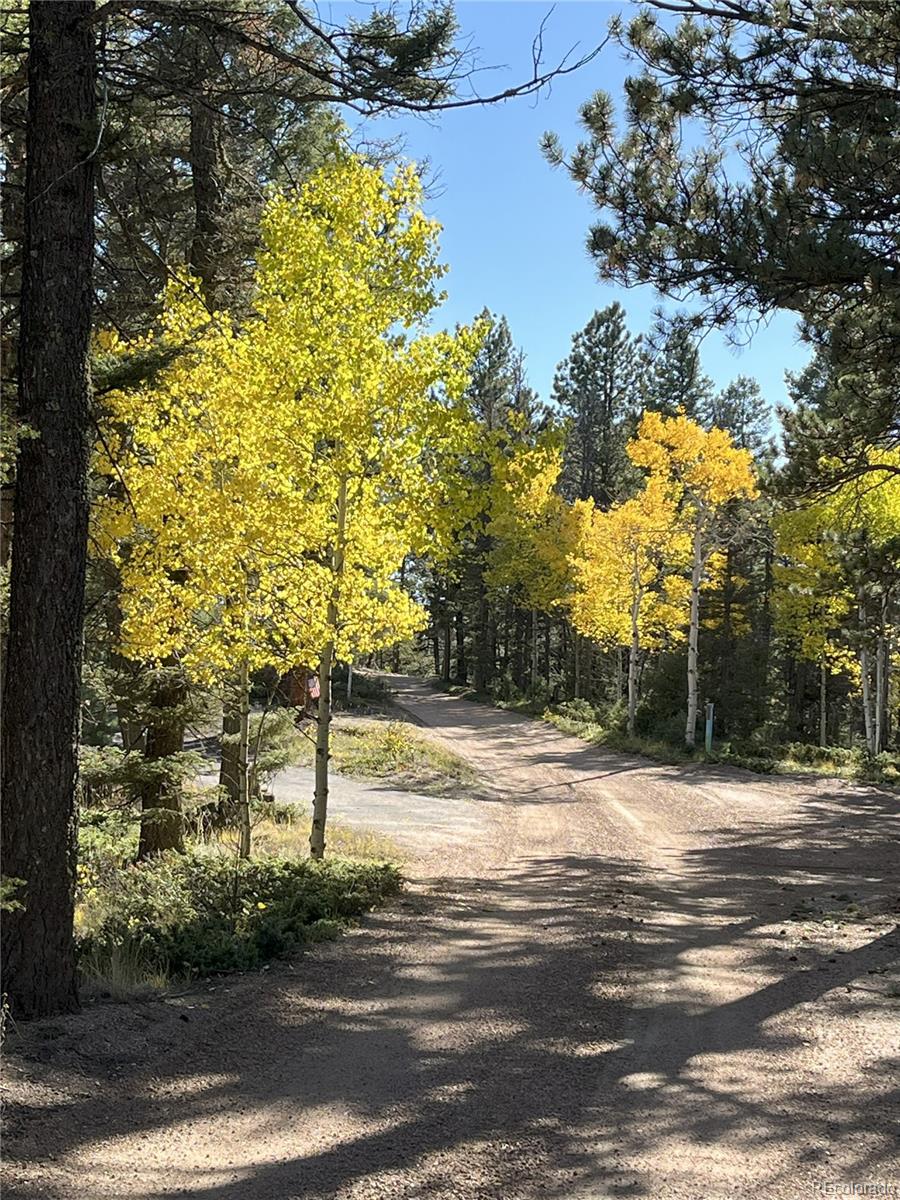 MLS Image #39 for 4261  county road 51 ,divide, Colorado