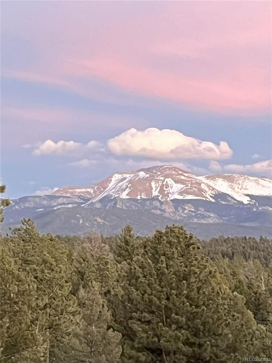 MLS Image #4 for 4261  county road 51 ,divide, Colorado