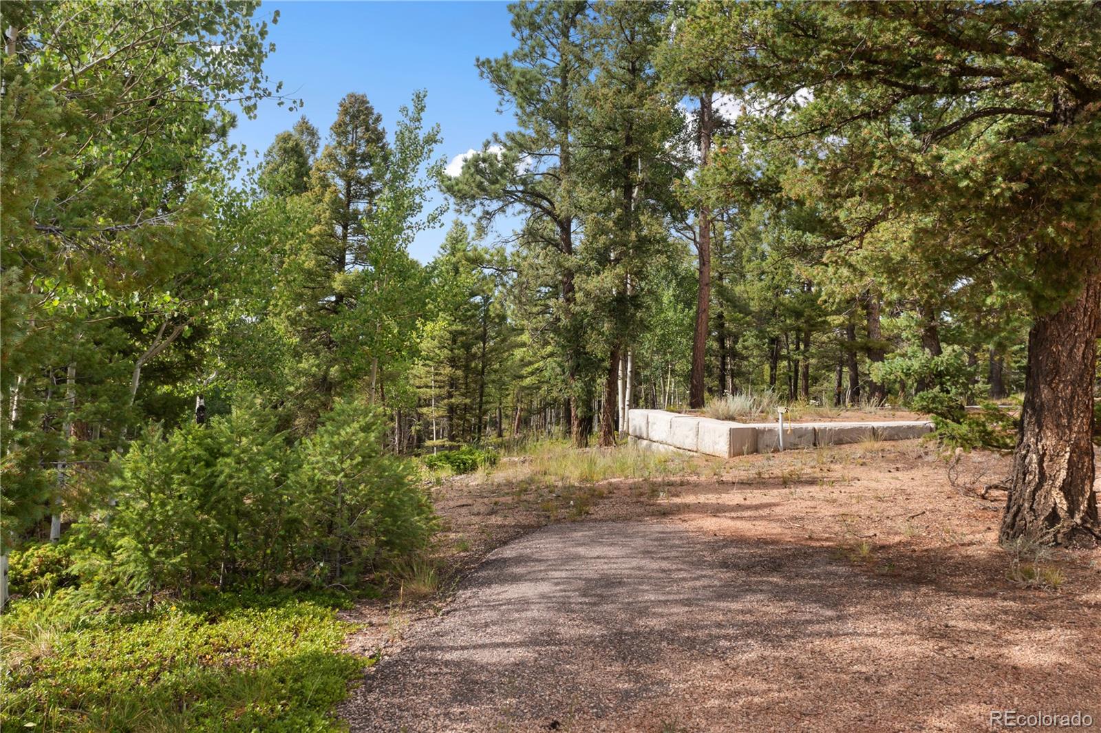 MLS Image #5 for 4261  county road 51 ,divide, Colorado