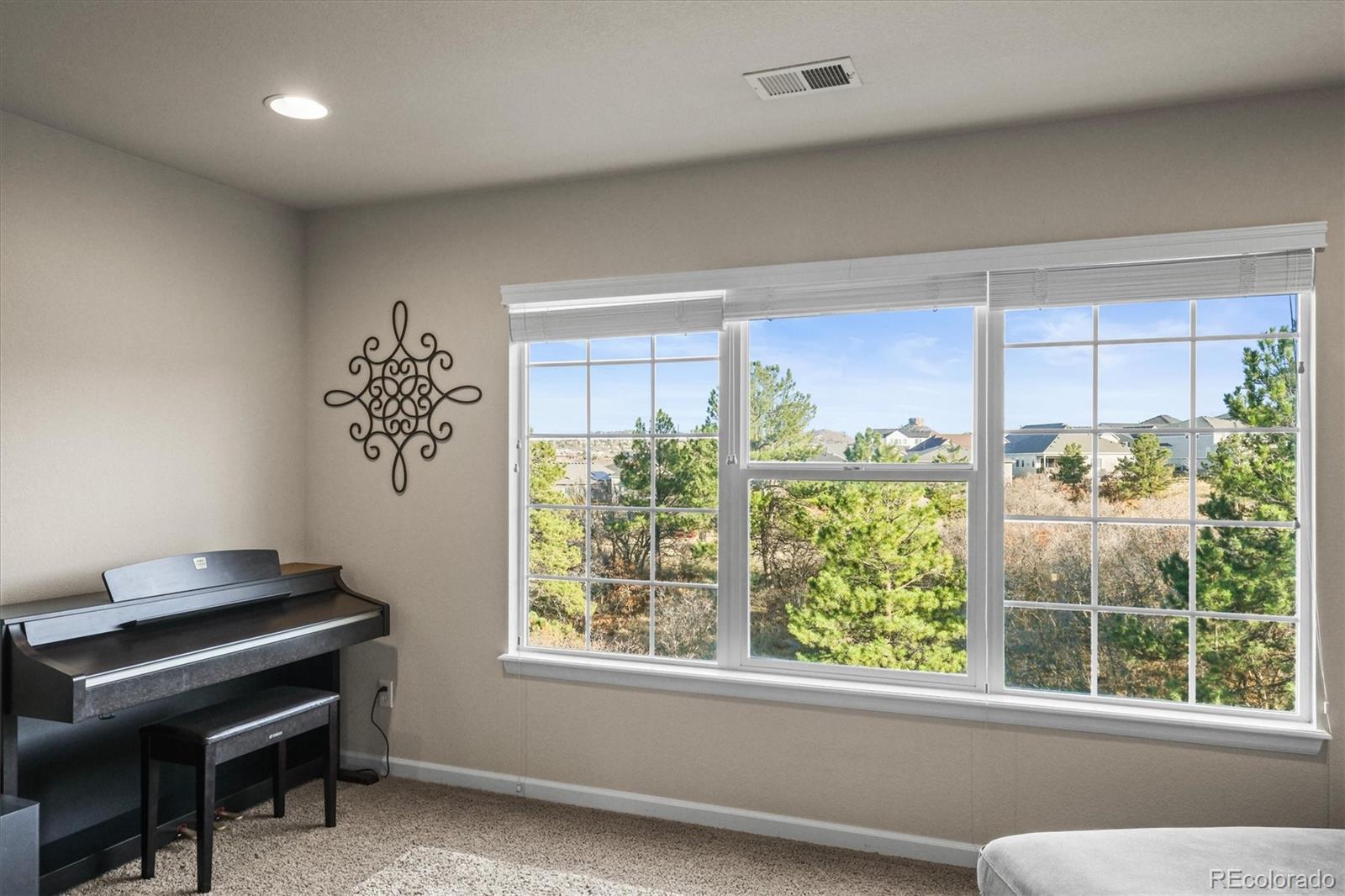 MLS Image #16 for 1271  sky rock way,castle rock, Colorado