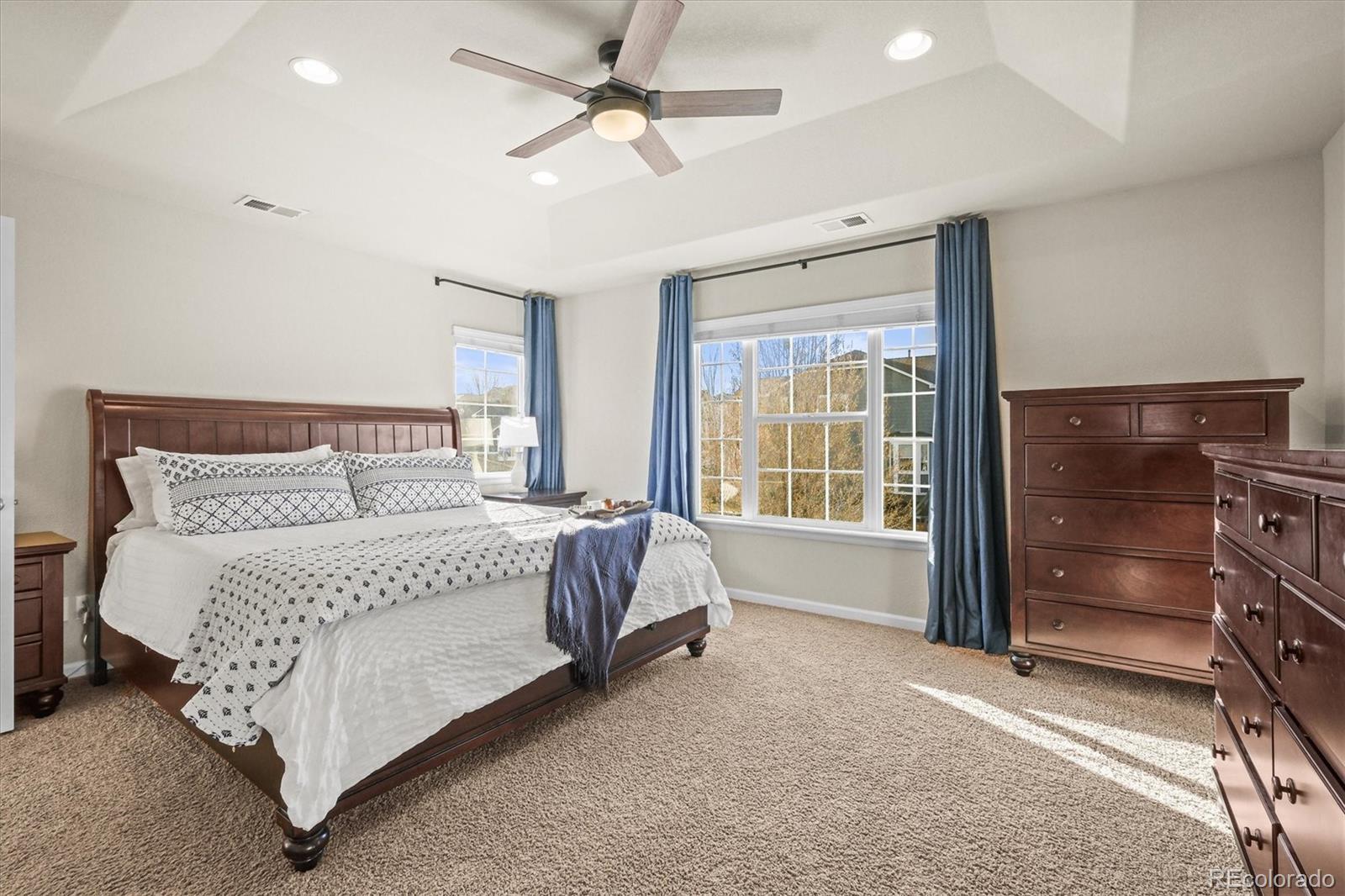 MLS Image #18 for 1271  sky rock way,castle rock, Colorado
