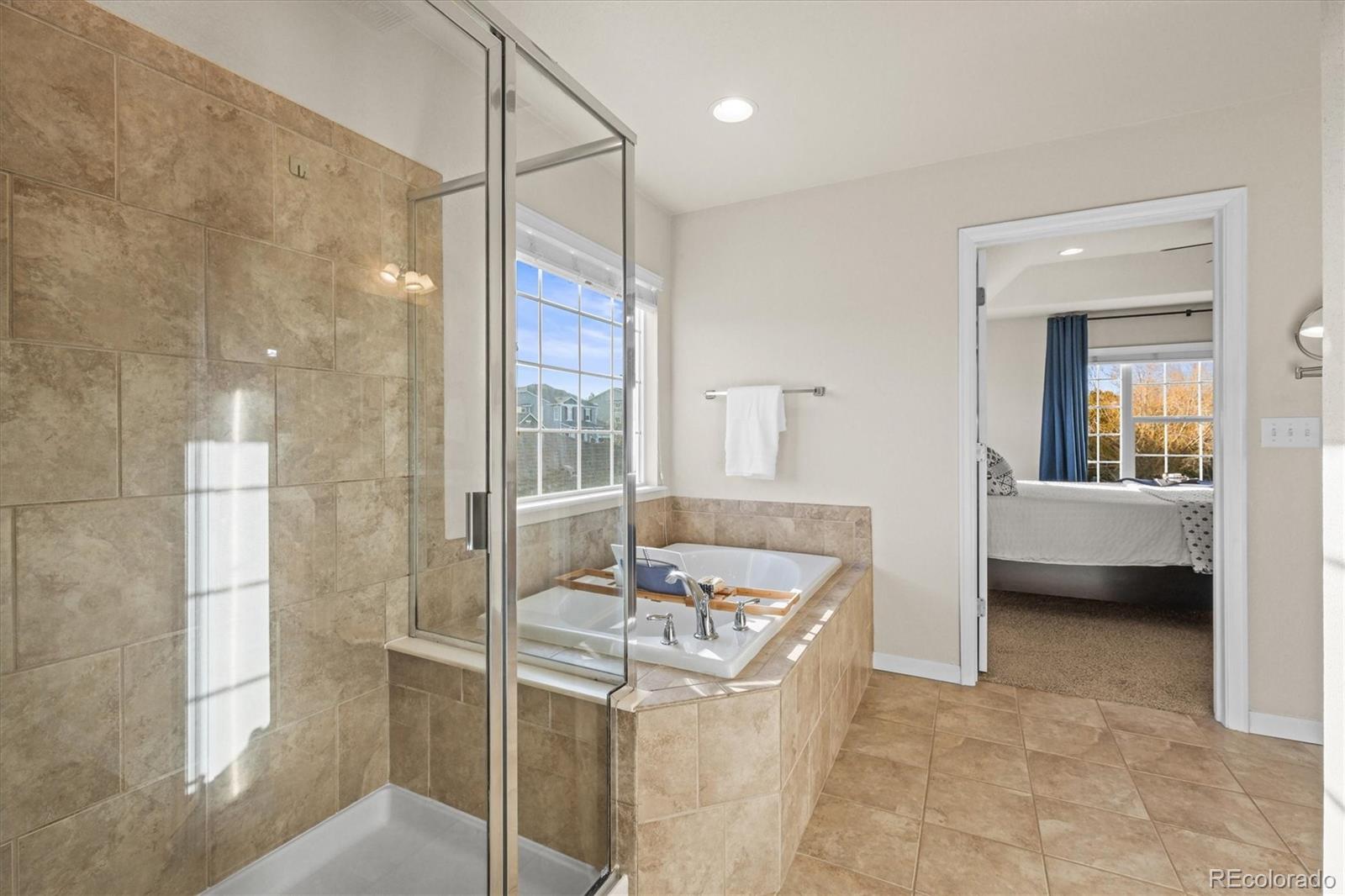 MLS Image #23 for 1271  sky rock way,castle rock, Colorado