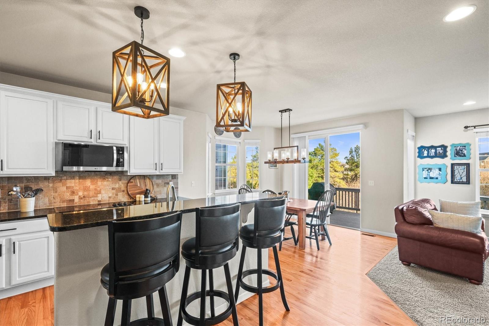 MLS Image #4 for 1271  sky rock way,castle rock, Colorado