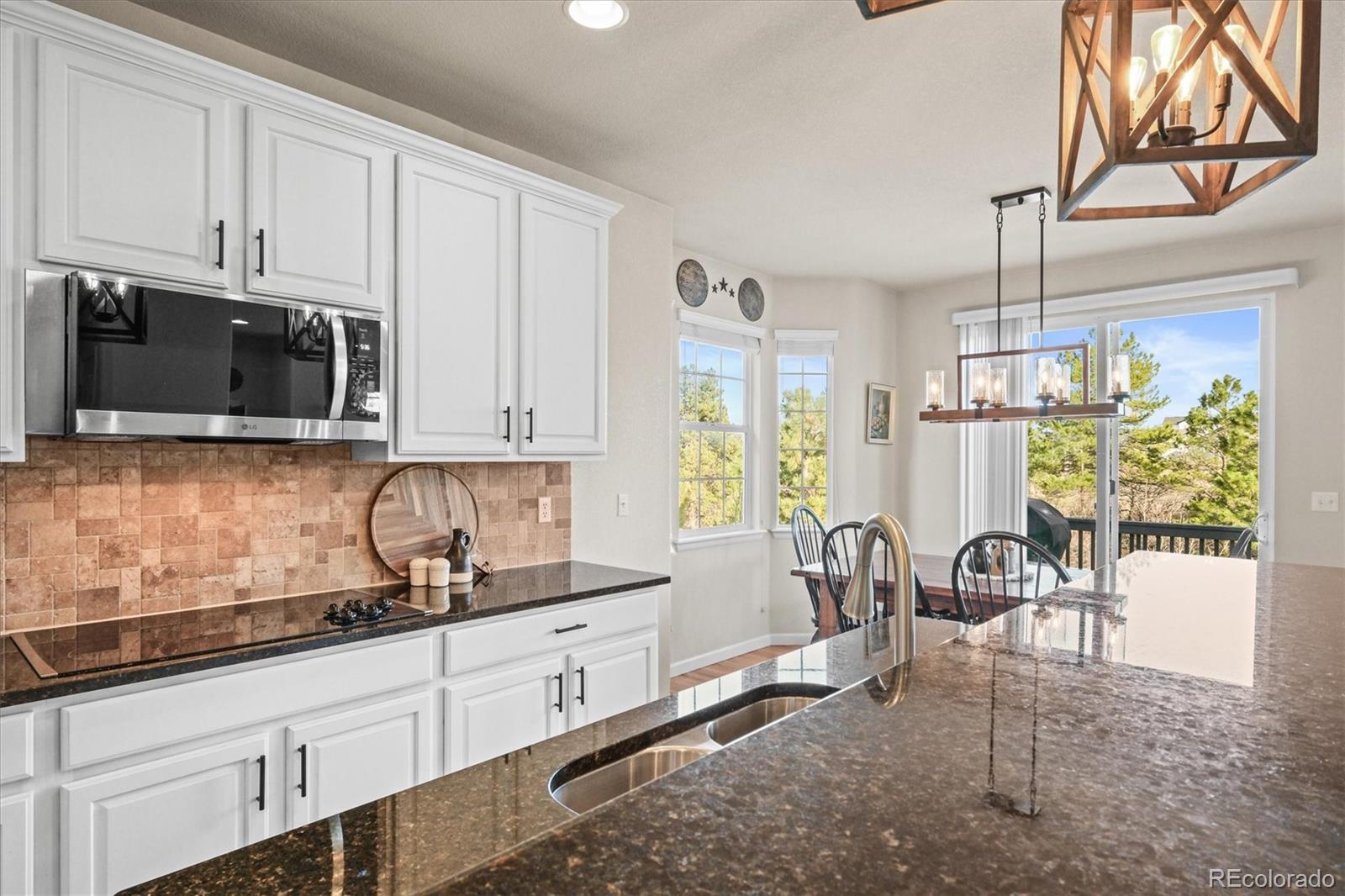 MLS Image #5 for 1271  sky rock way,castle rock, Colorado
