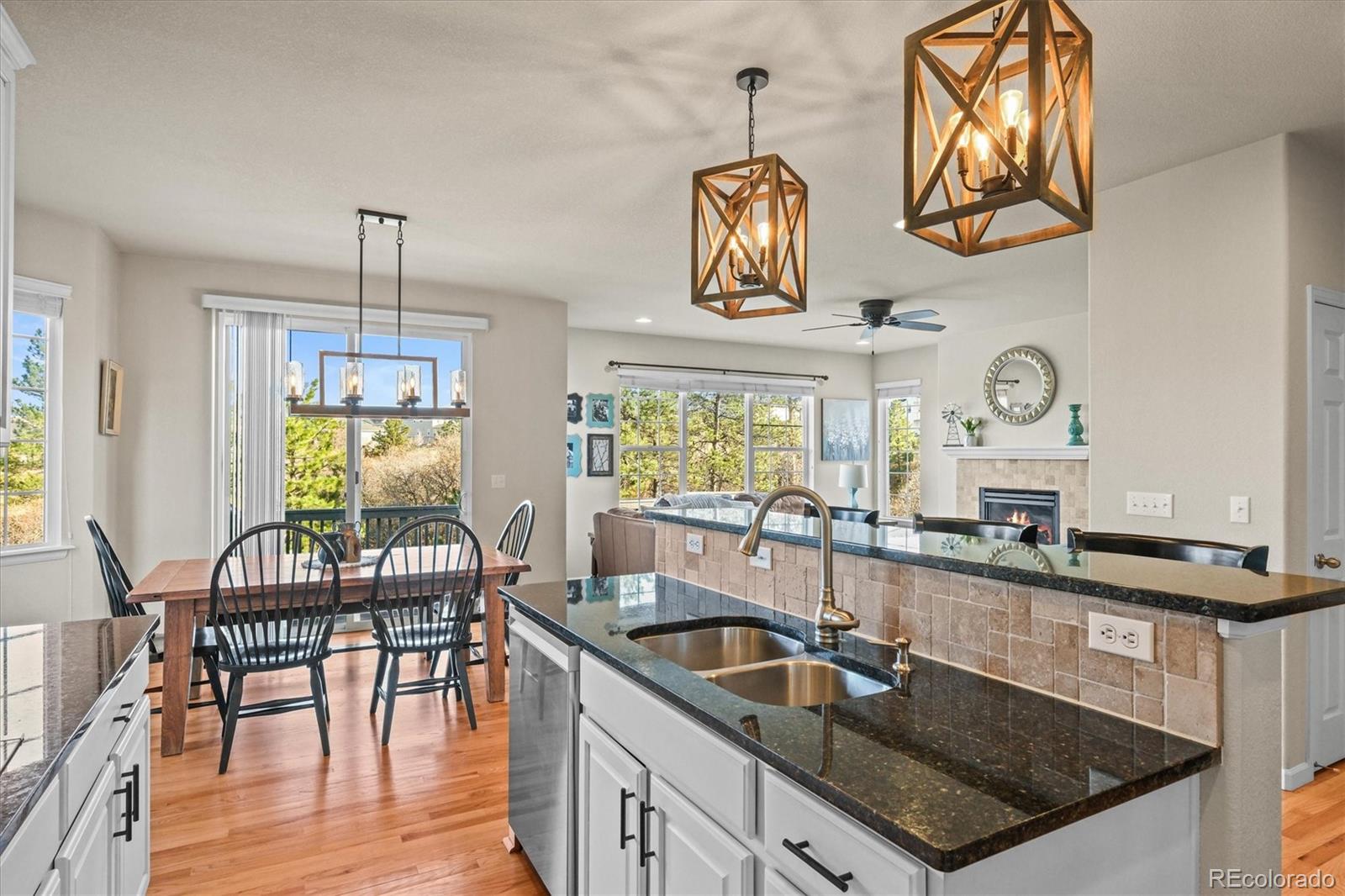 MLS Image #7 for 1271  sky rock way,castle rock, Colorado