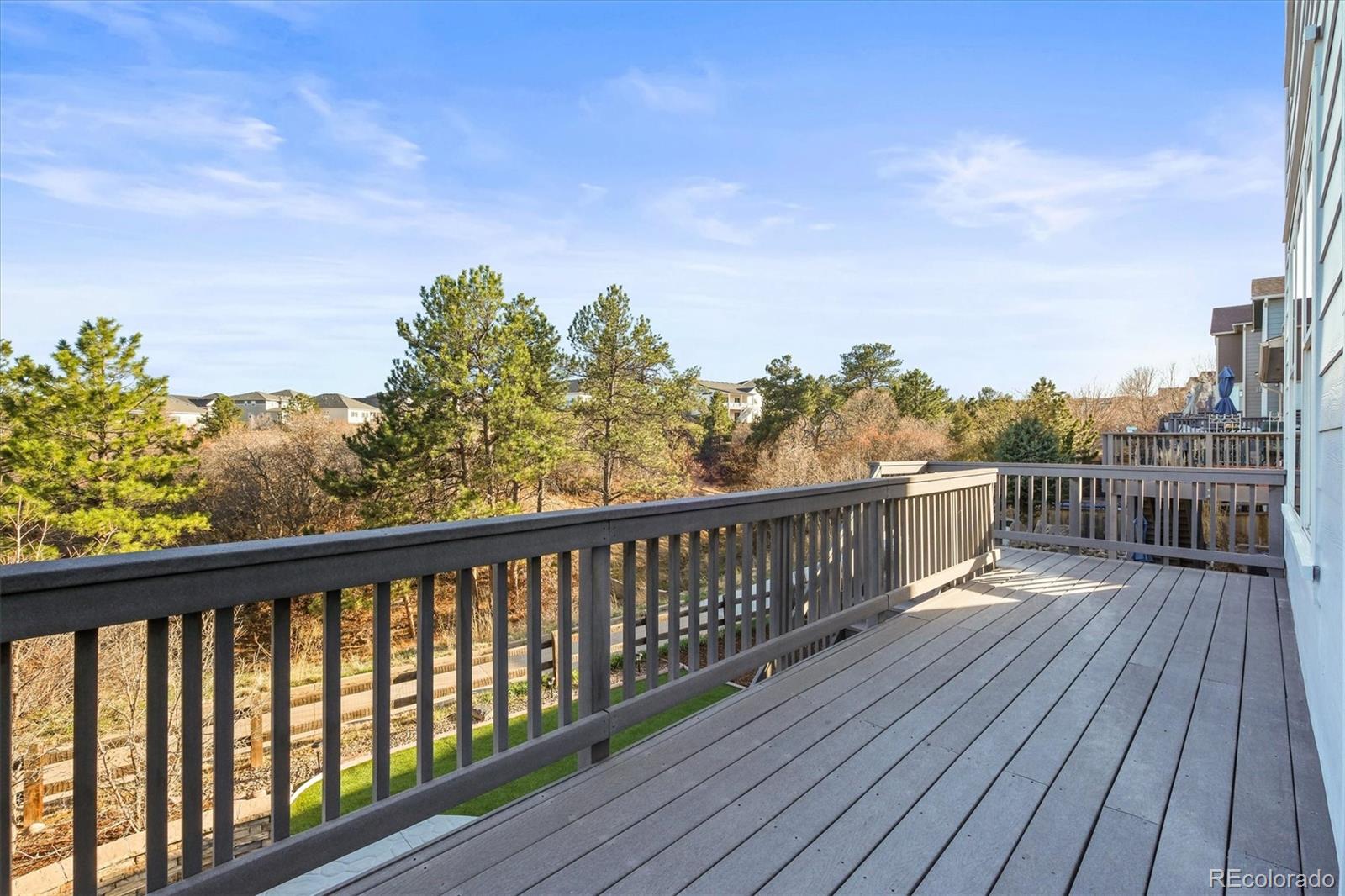 MLS Image #8 for 1271  sky rock way,castle rock, Colorado