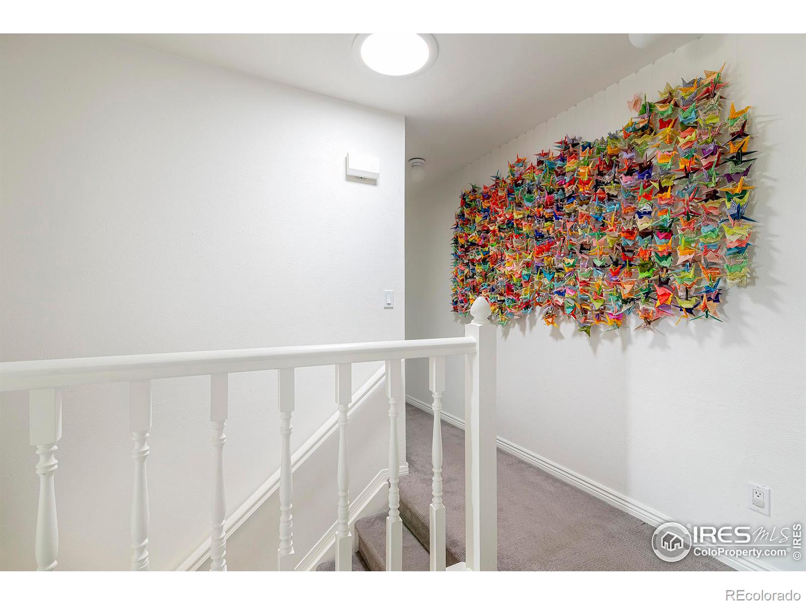 MLS Image #24 for 5292  lichen place,boulder, Colorado