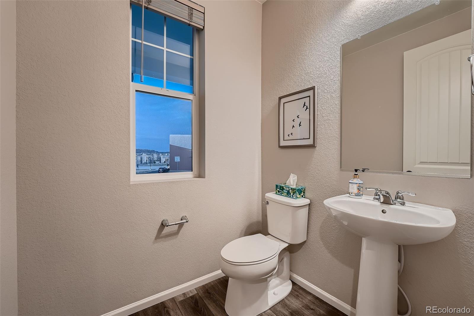 MLS Image #11 for 2866  low meadow boulevard,castle rock, Colorado