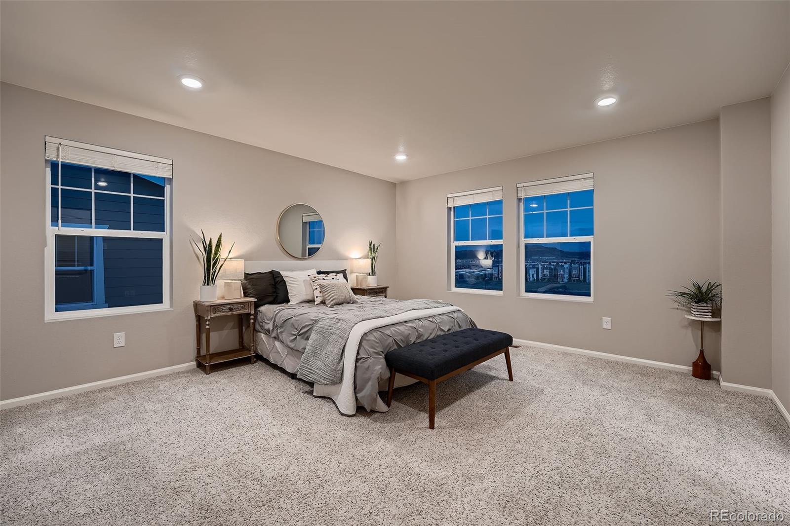 MLS Image #14 for 2866  low meadow boulevard,castle rock, Colorado
