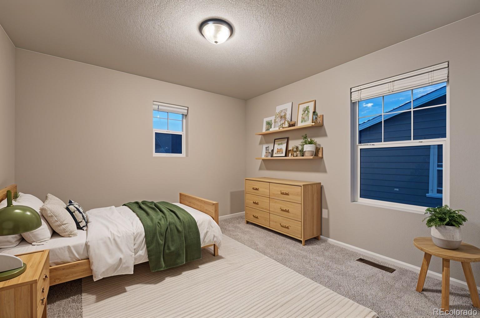 MLS Image #20 for 2866  low meadow boulevard,castle rock, Colorado
