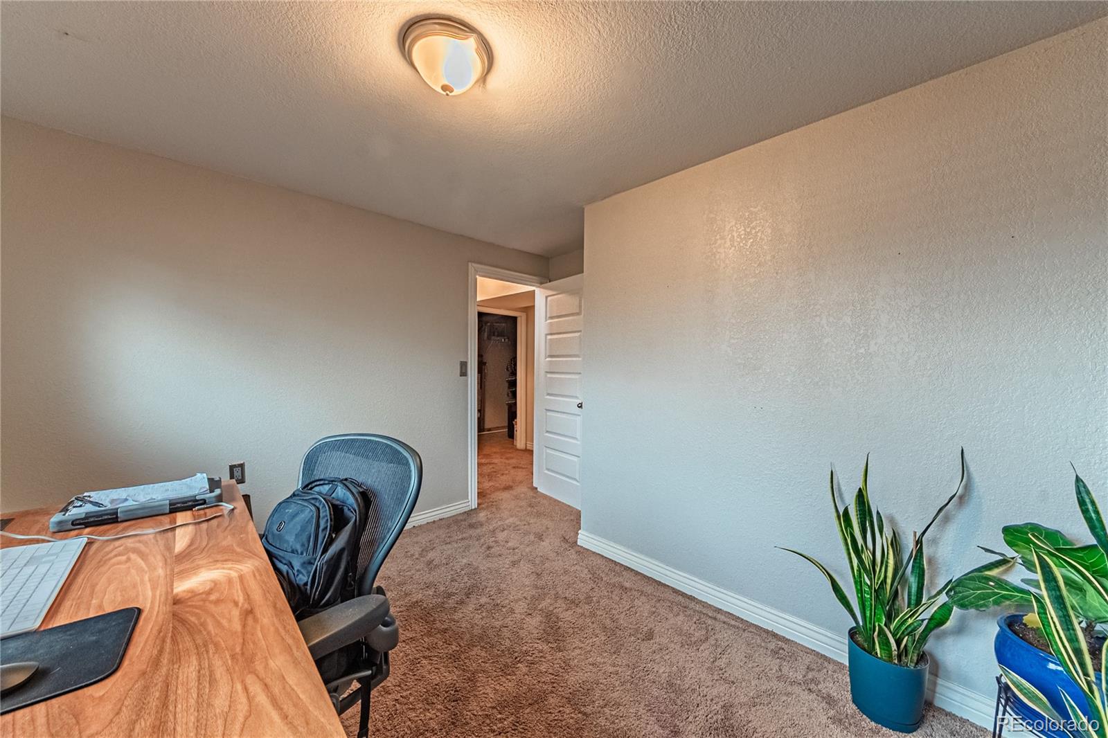 MLS Image #23 for 889  douglas drive,denver, Colorado