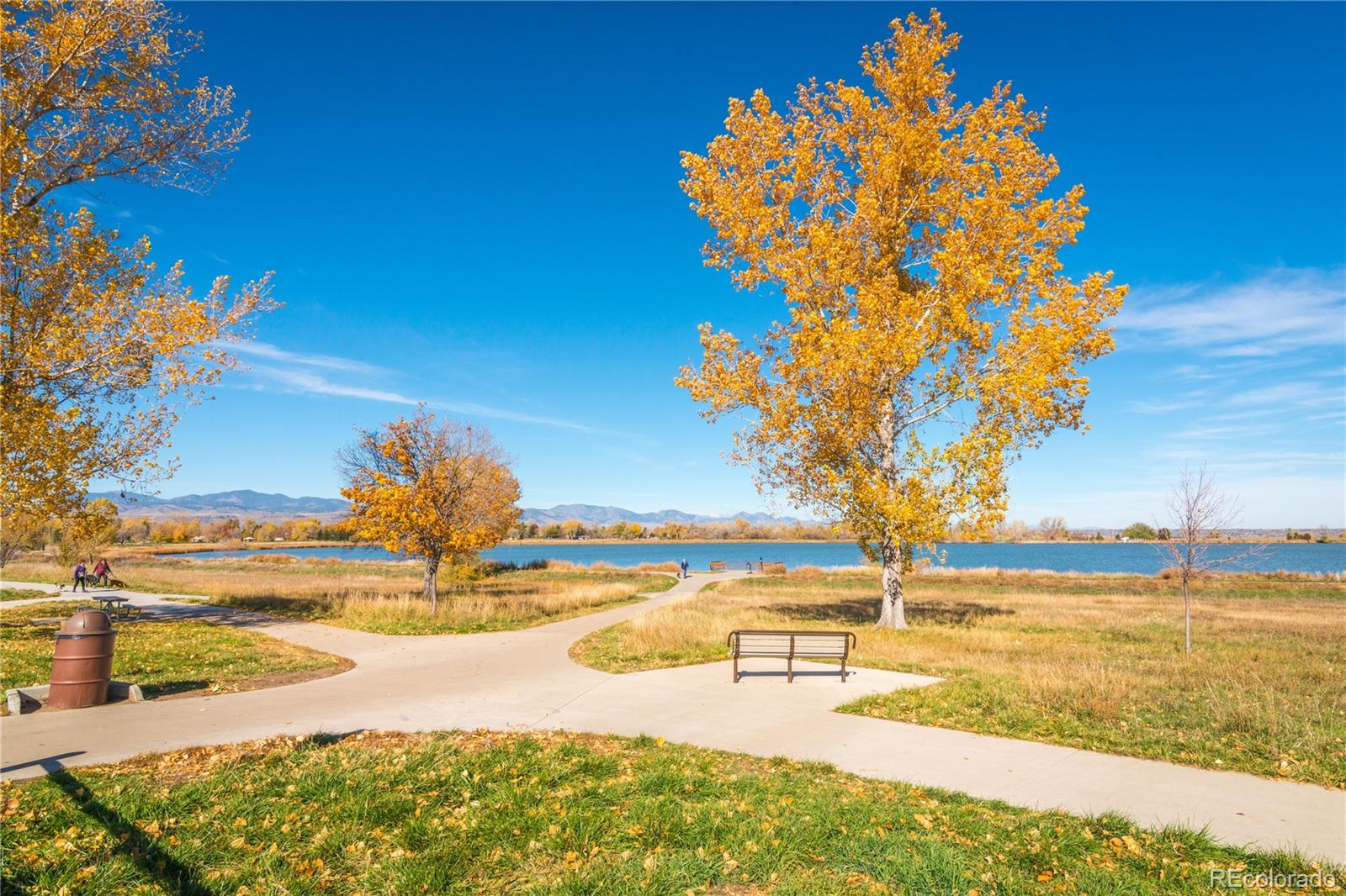 MLS Image #42 for 2035  carr street,lakewood, Colorado