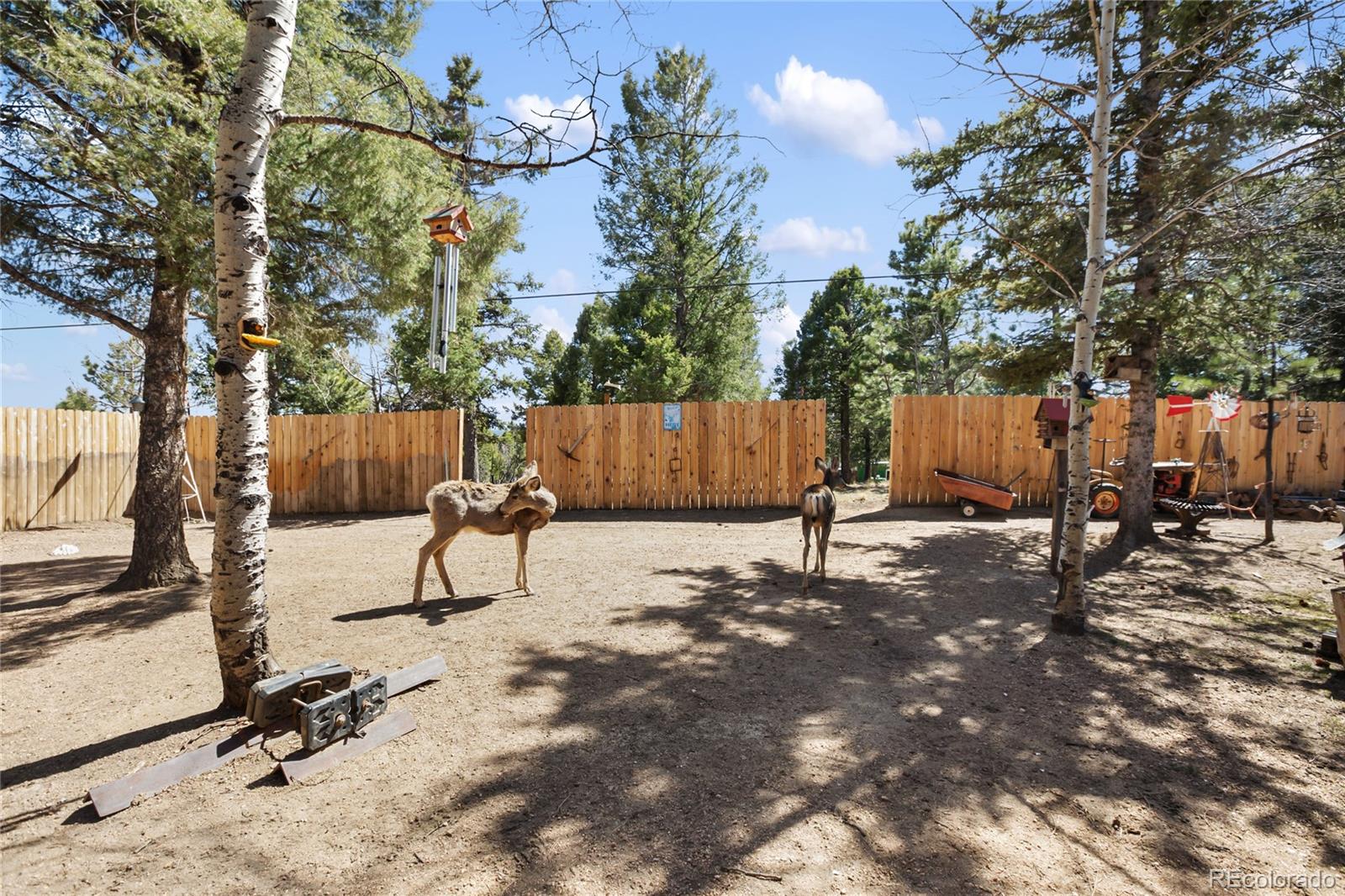 CMA Image for 166  gentian road,Woodland Park, Colorado