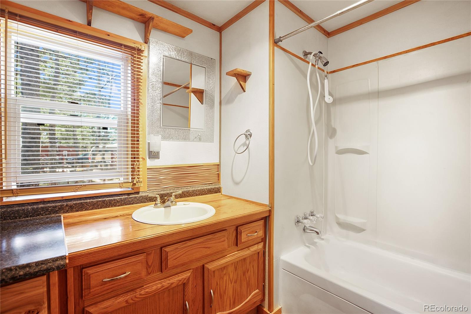 MLS Image #20 for 166  gentian road,woodland park, Colorado