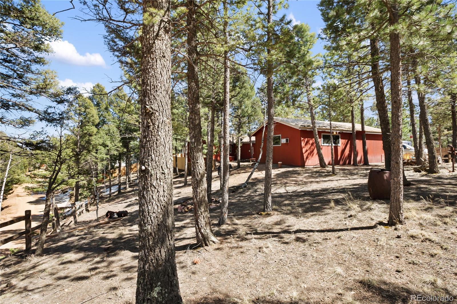 MLS Image #8 for 166  gentian road,woodland park, Colorado