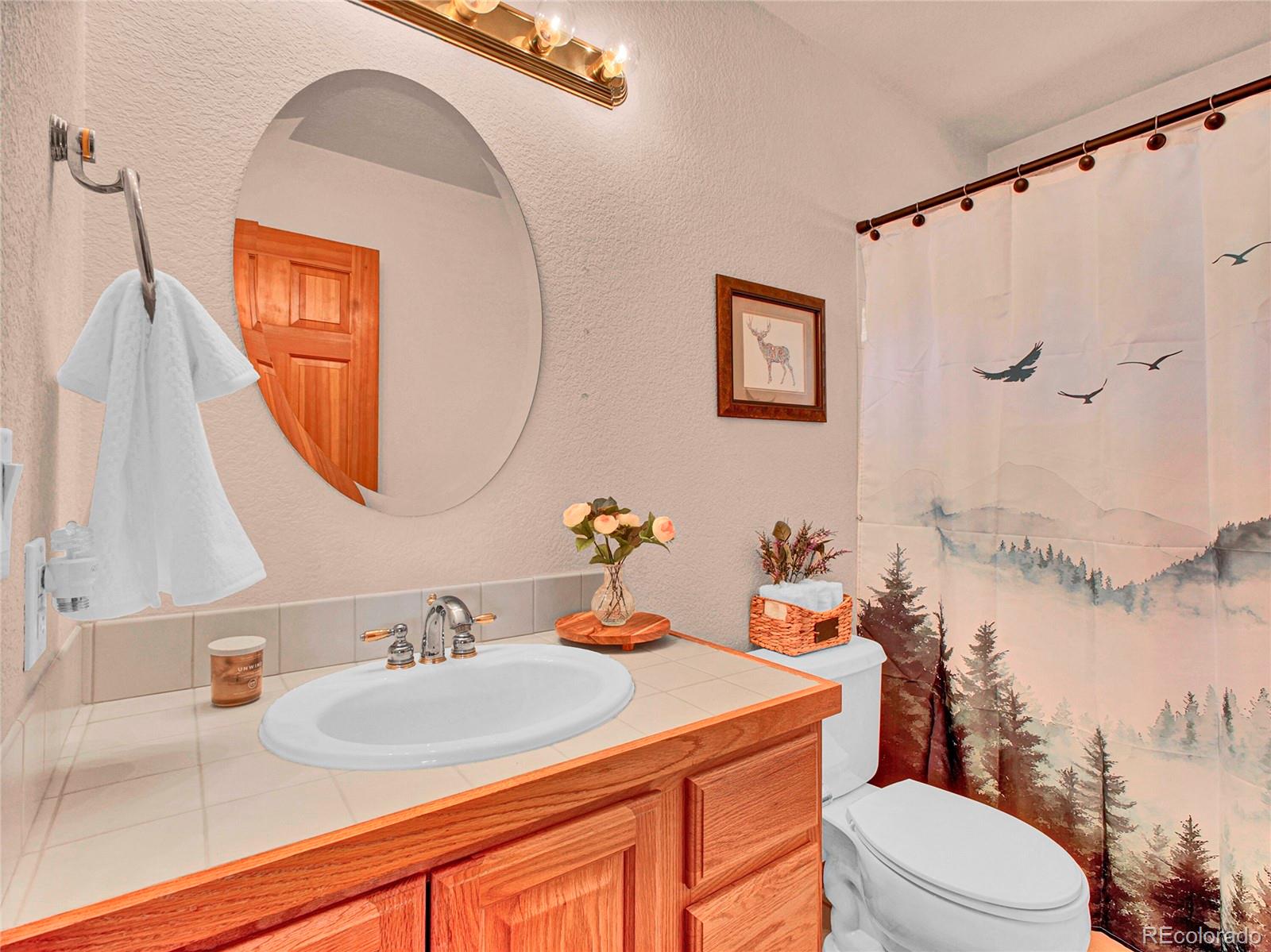 MLS Image #18 for 30813  kings valley drive,conifer, Colorado