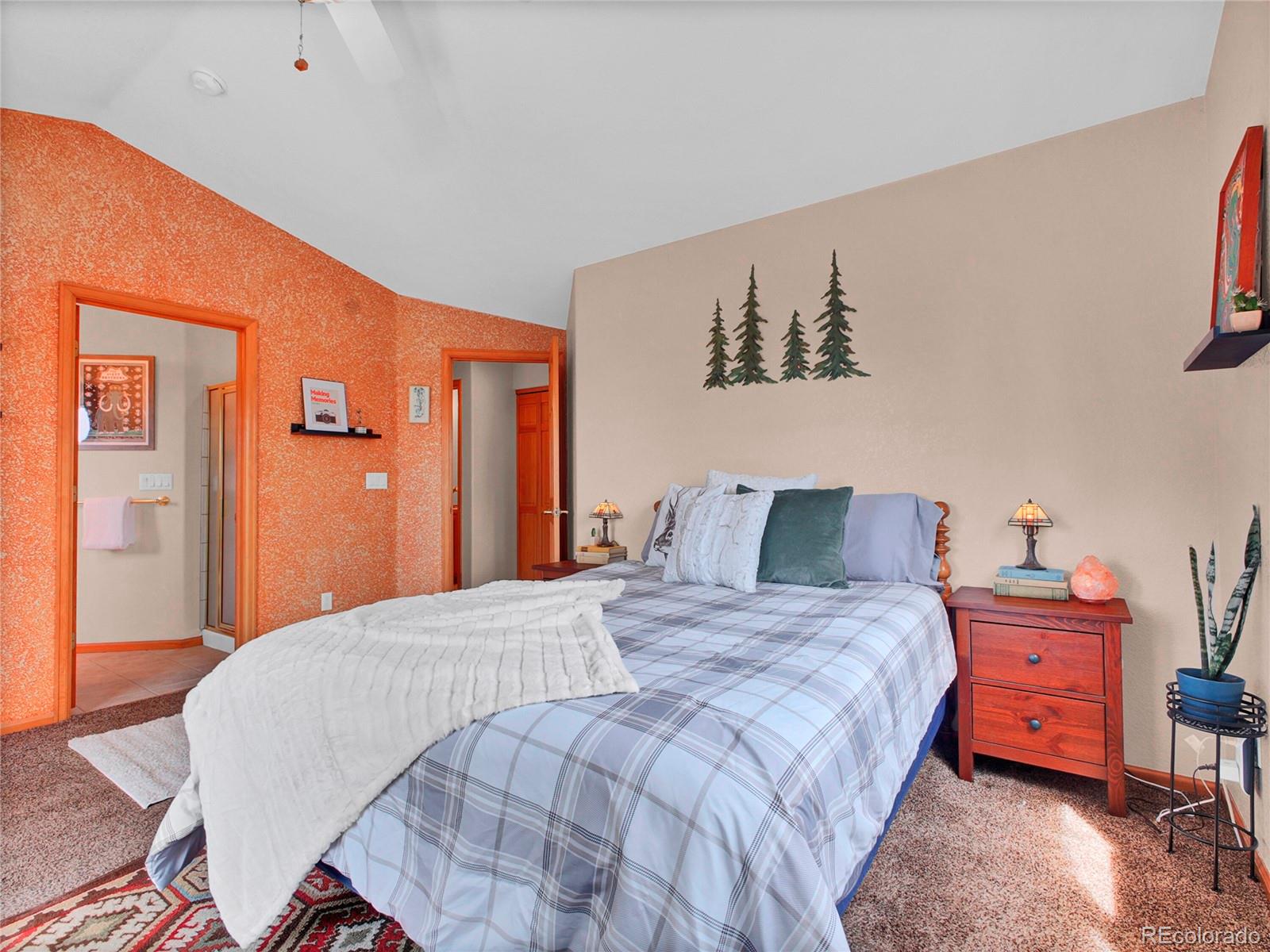 MLS Image #20 for 30813  kings valley drive,conifer, Colorado