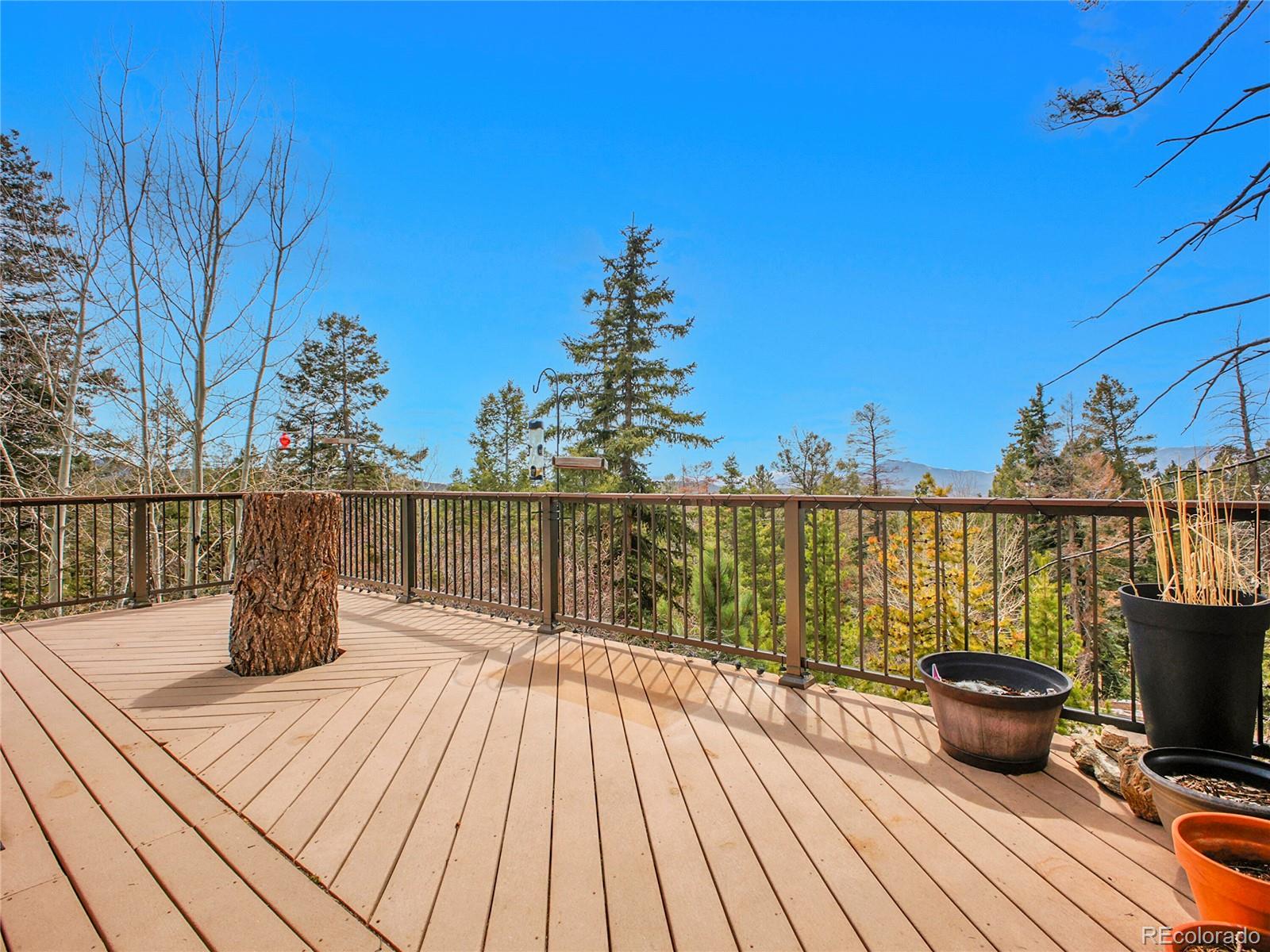 MLS Image #26 for 30813  kings valley drive,conifer, Colorado