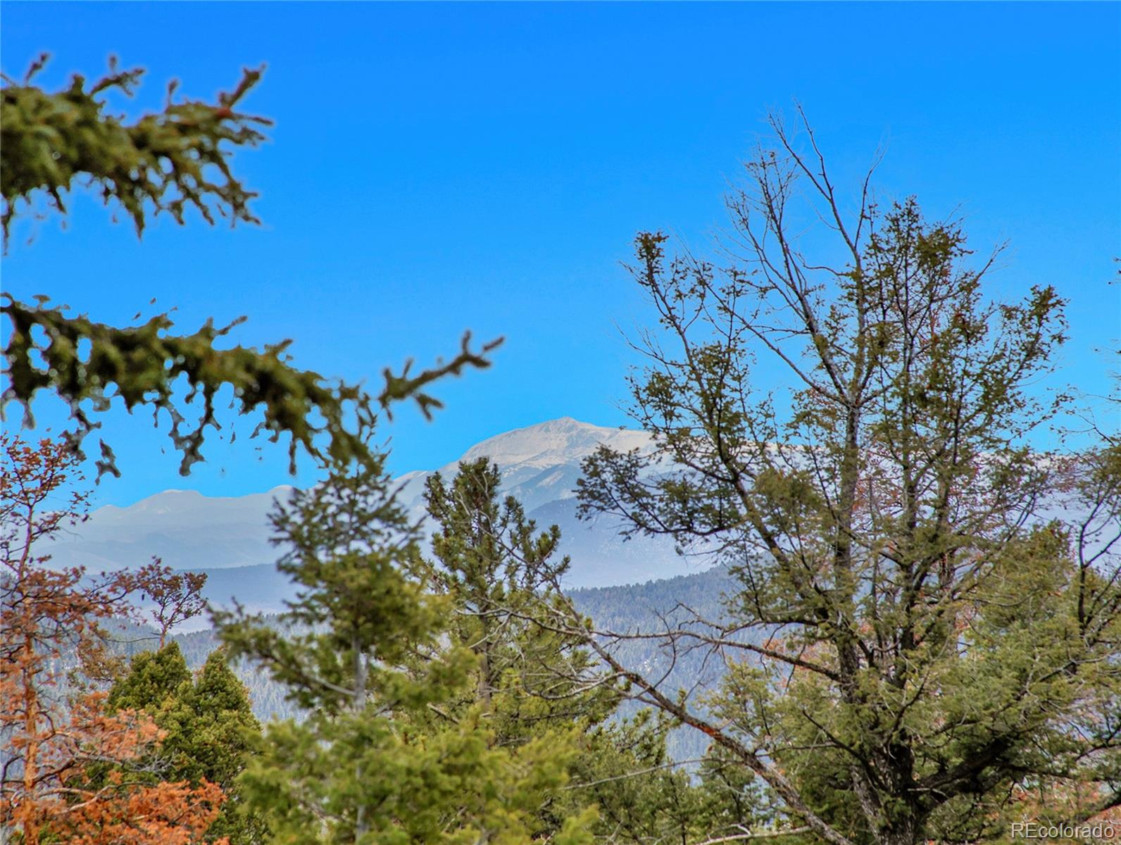 MLS Image #27 for 30813  kings valley drive,conifer, Colorado