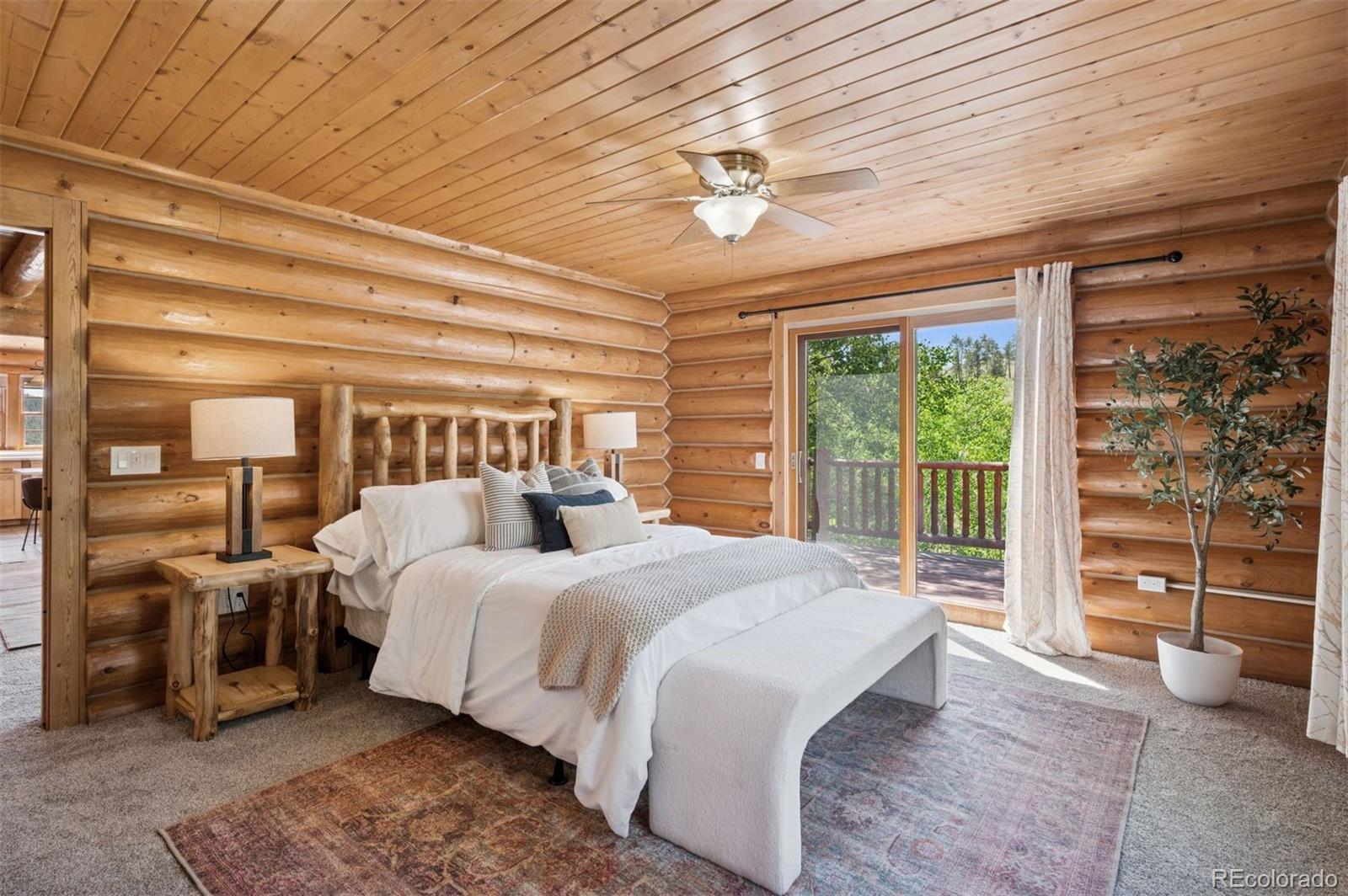 MLS Image #10 for 15690  cochise trail,pine, Colorado