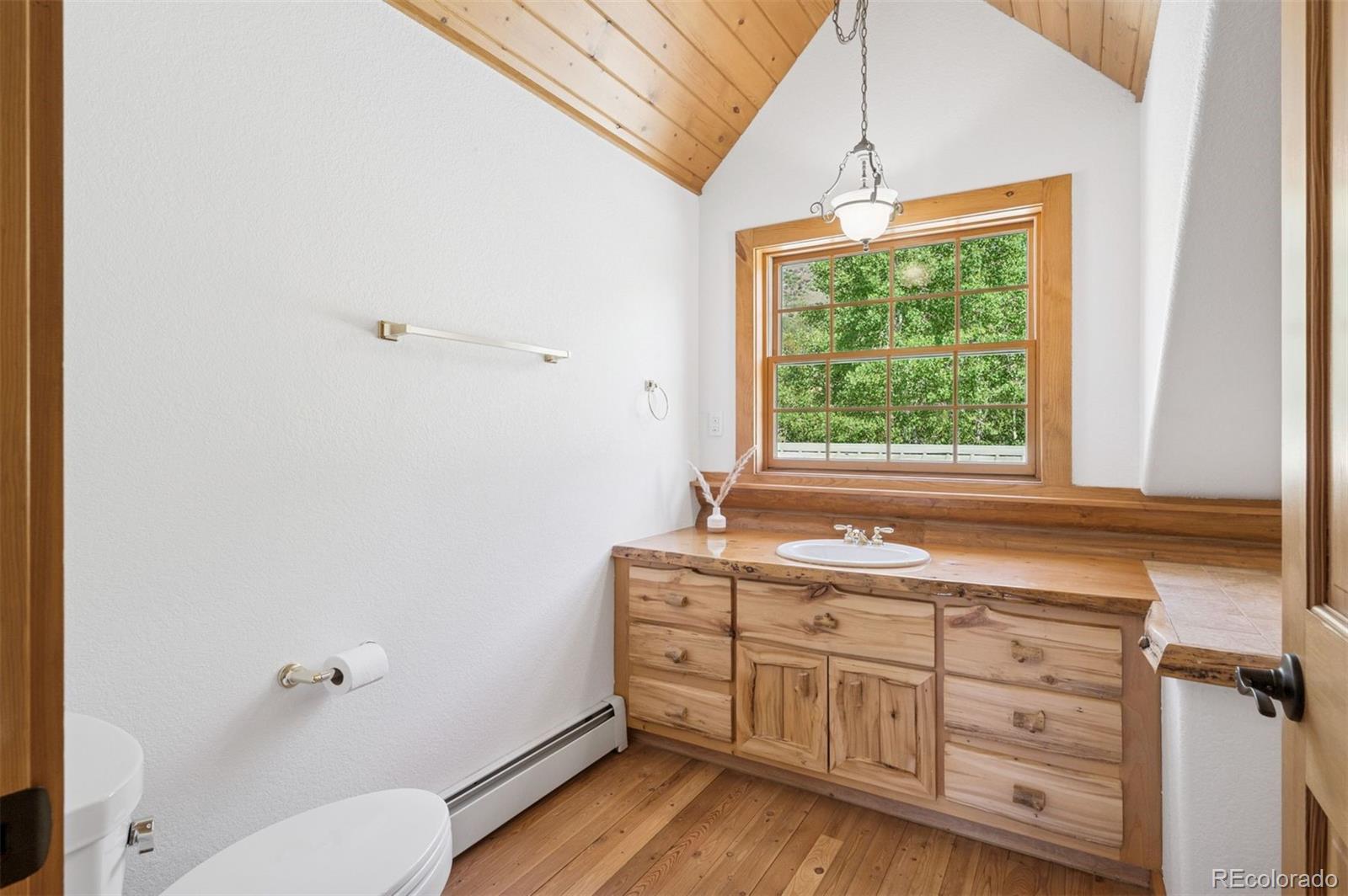 MLS Image #17 for 15690  cochise trail,pine, Colorado