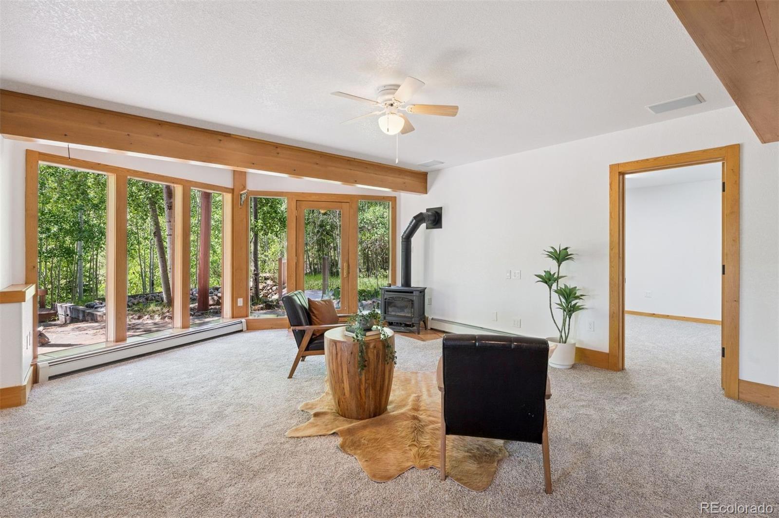 MLS Image #18 for 15690  cochise trail,pine, Colorado