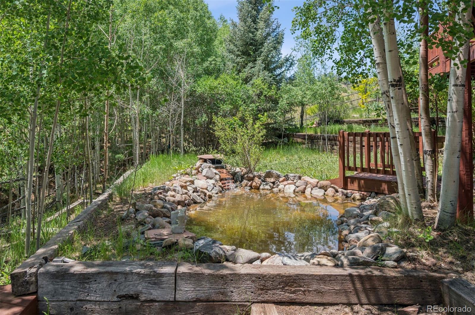 MLS Image #33 for 15690  cochise trail,pine, Colorado