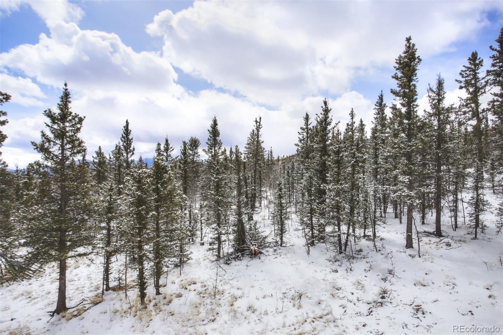 MLS Image #22 for 130  persian way,jefferson, Colorado