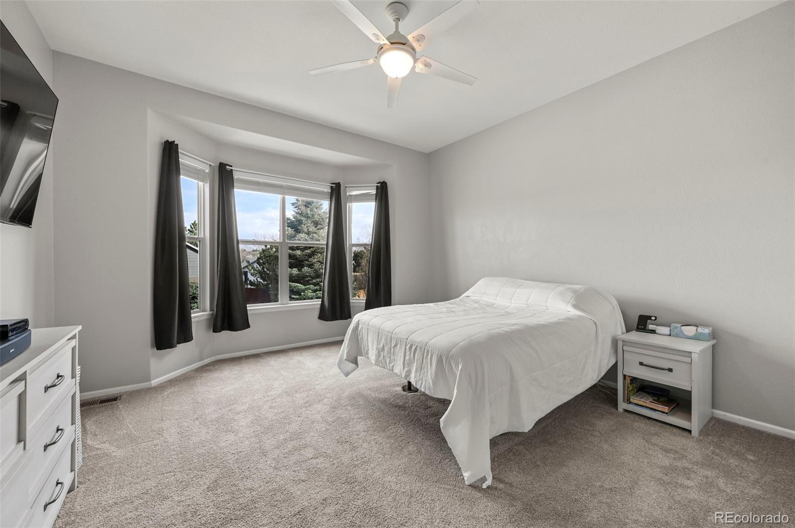 MLS Image #13 for 5092  buttercup drive,castle rock, Colorado