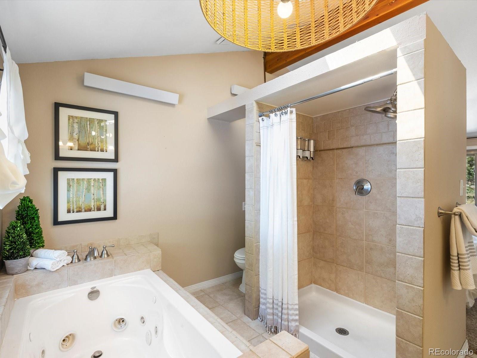 MLS Image #3 for 28268  shadow mountain drive,conifer, Colorado