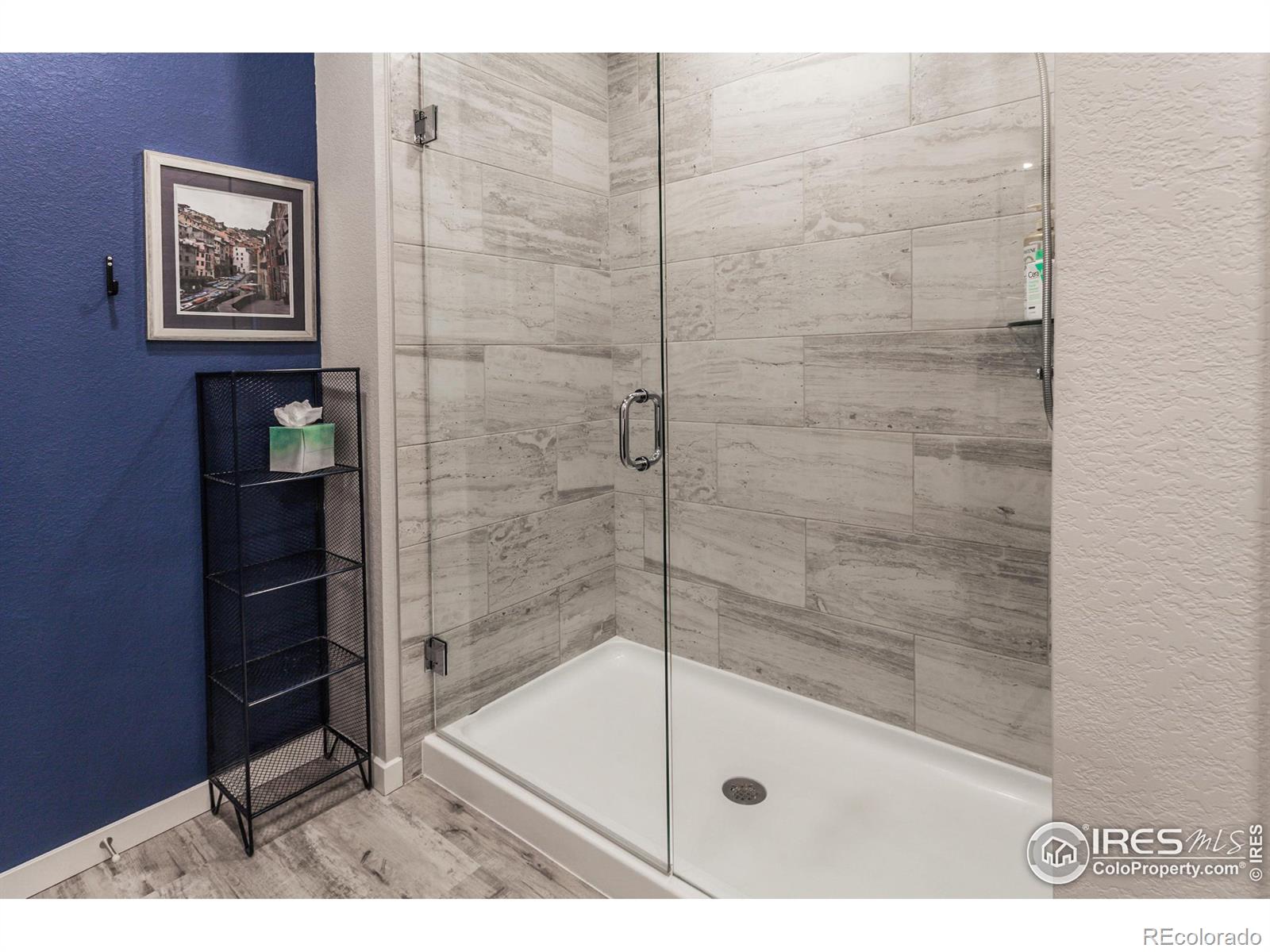 MLS Image #21 for 2962  conquest street,fort collins, Colorado