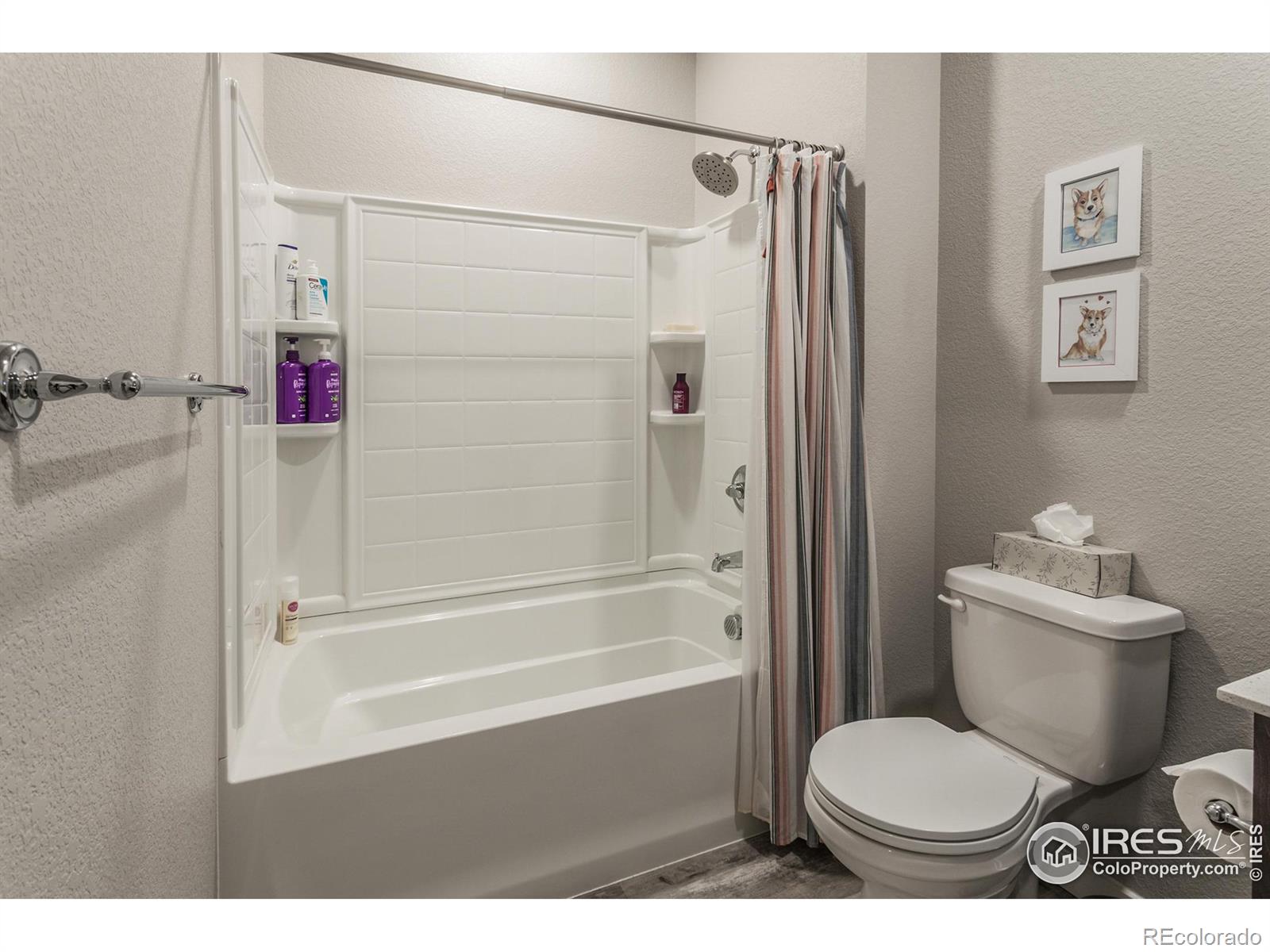 MLS Image #24 for 2962  conquest street,fort collins, Colorado