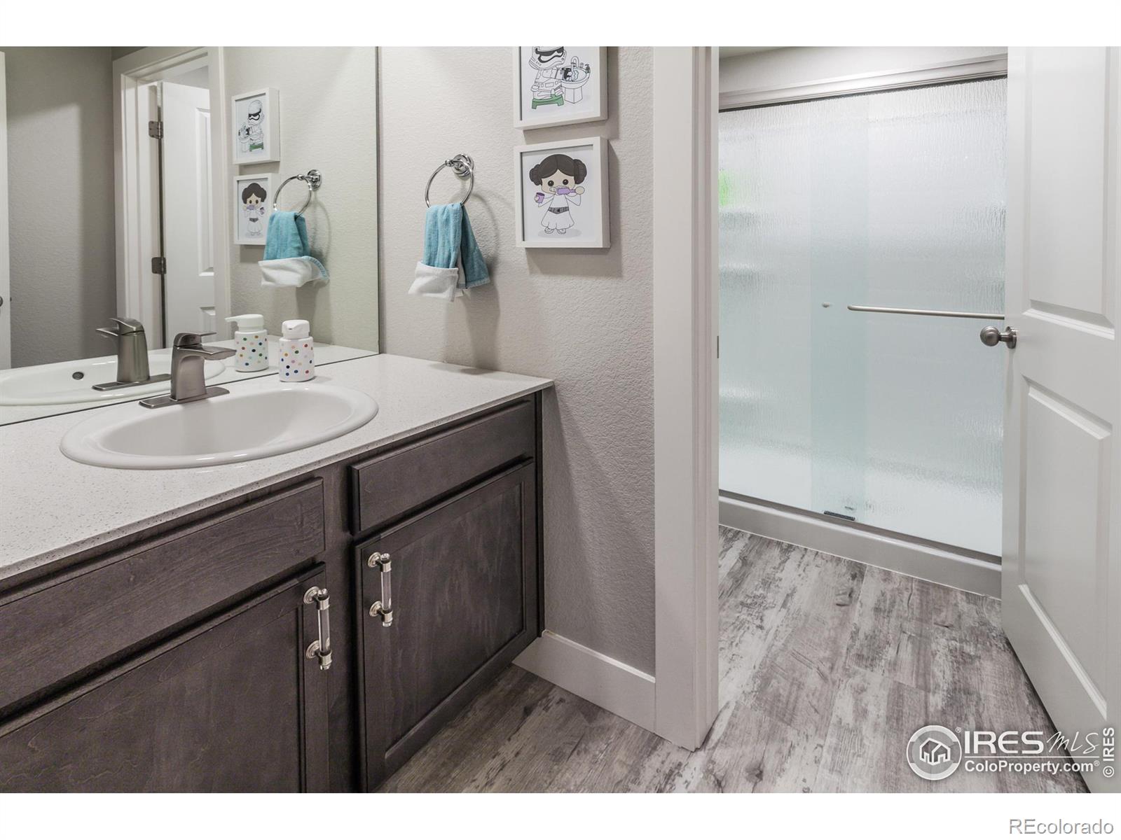 MLS Image #28 for 2962  conquest street,fort collins, Colorado