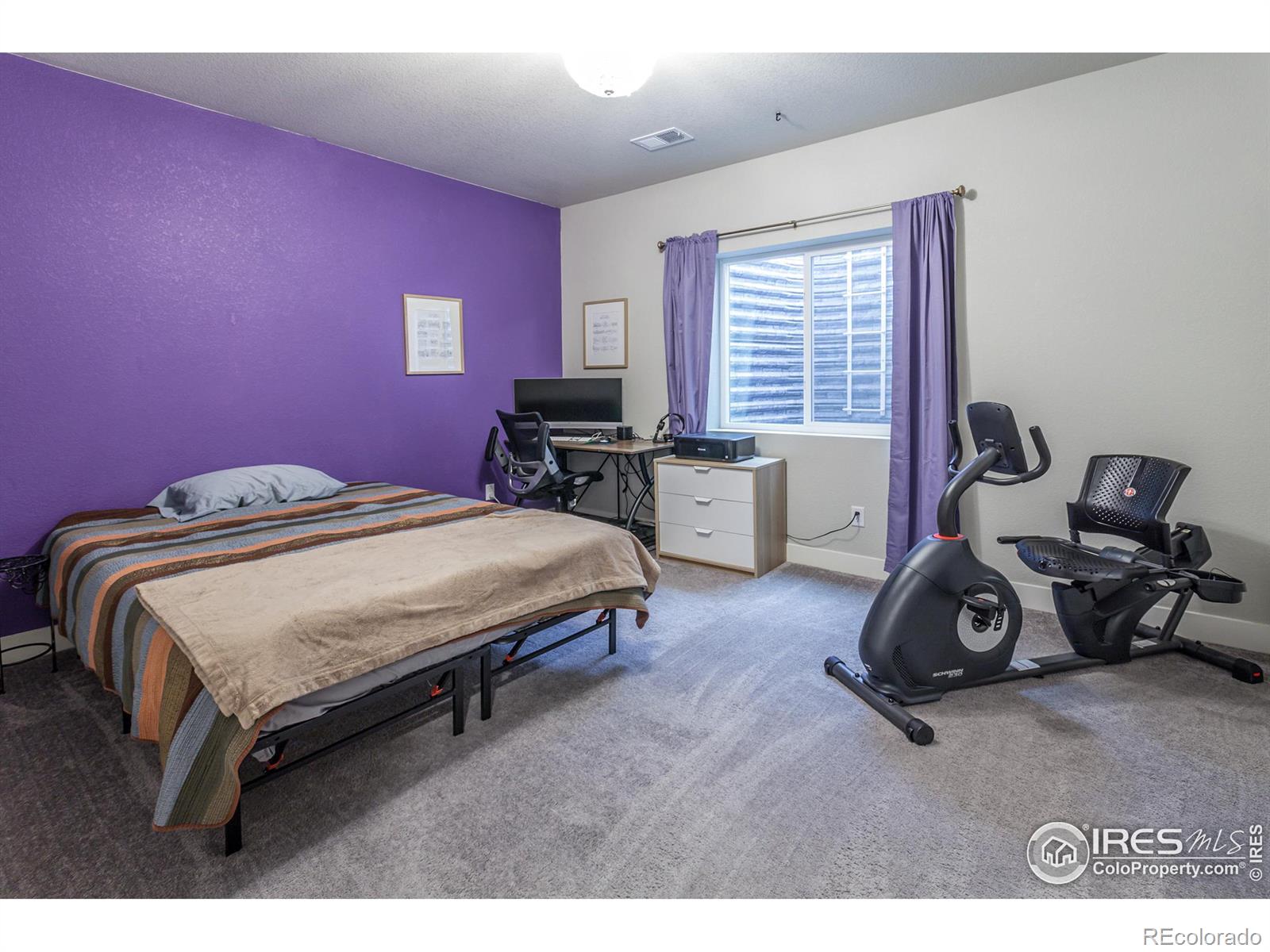 MLS Image #29 for 2962  conquest street,fort collins, Colorado