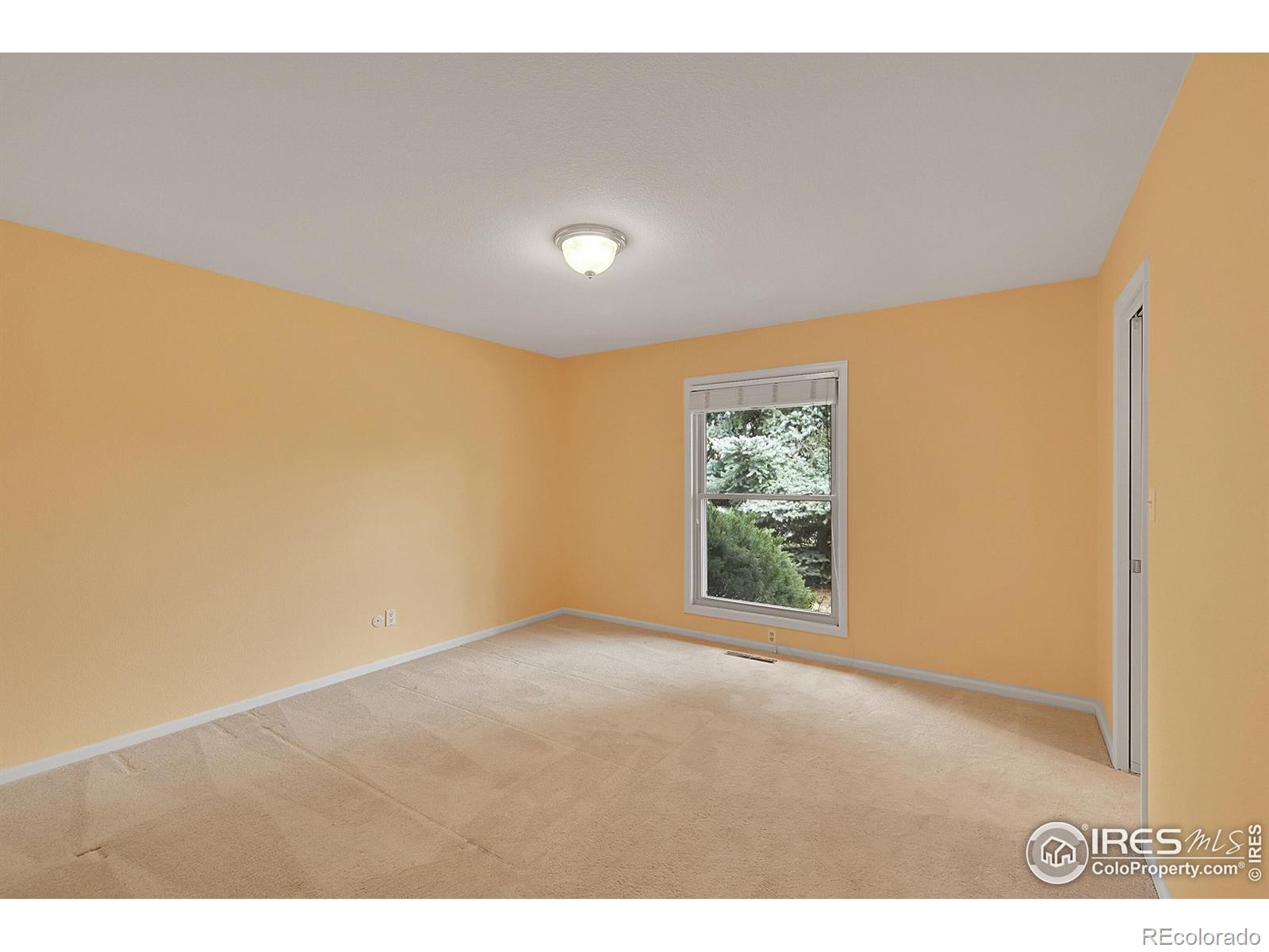 MLS Image #14 for 2205  lake park drive,longmont, Colorado