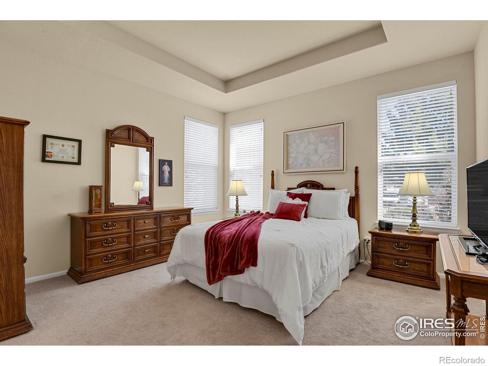 MLS Image #16 for 1533  bellflower drive,brighton, Colorado