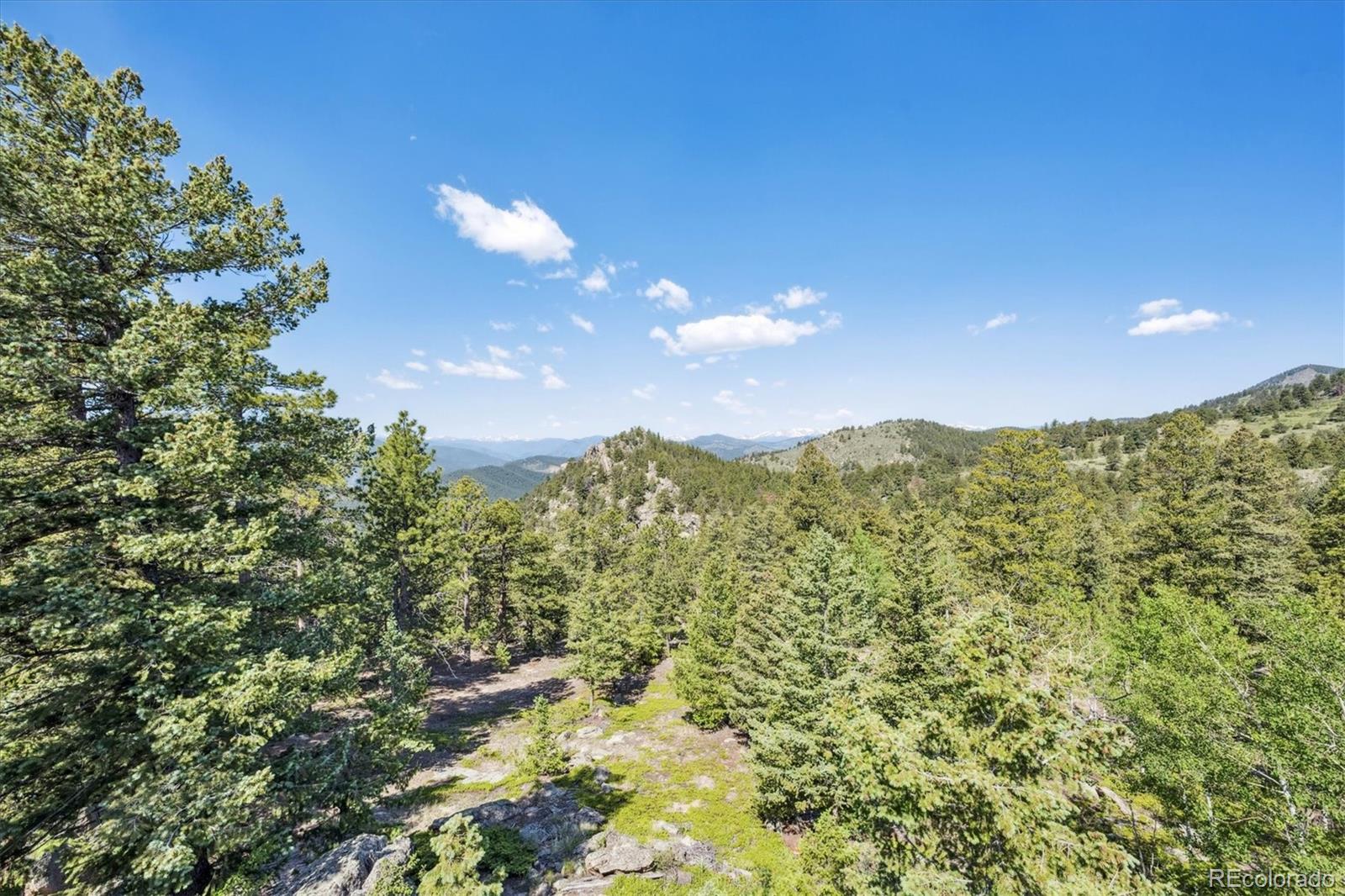 MLS Image #9 for 3945  douglas mountain drive,golden, Colorado