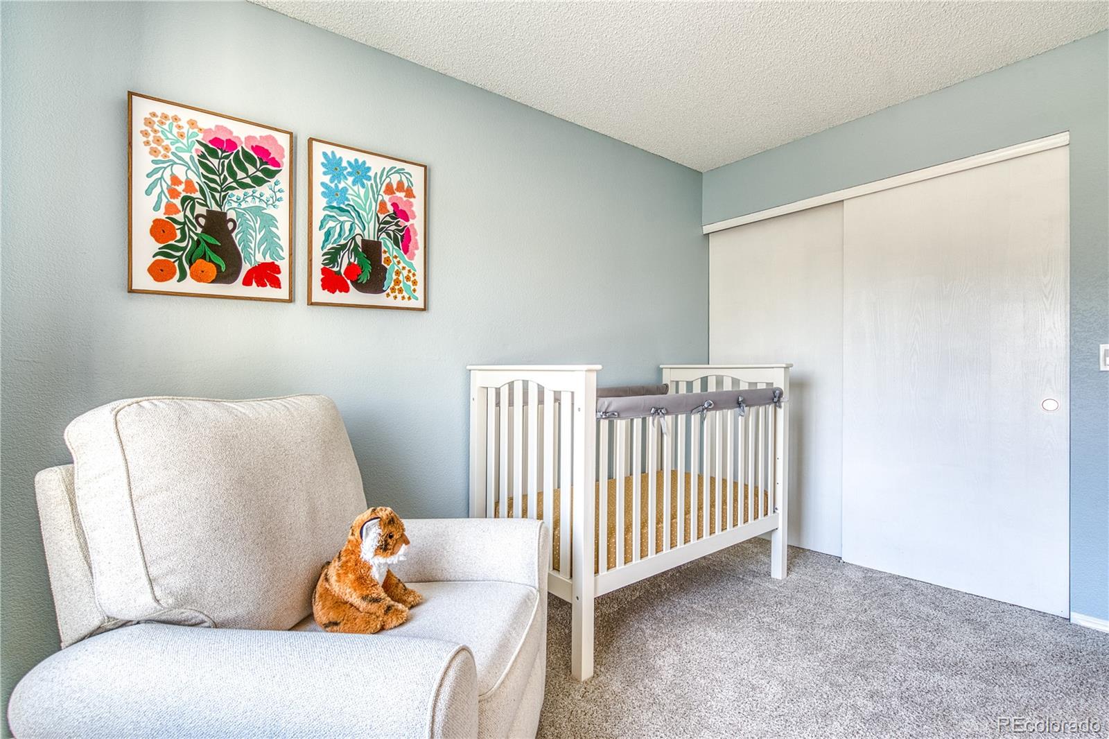MLS Image #19 for 6434  laguna circle,highlands ranch, Colorado