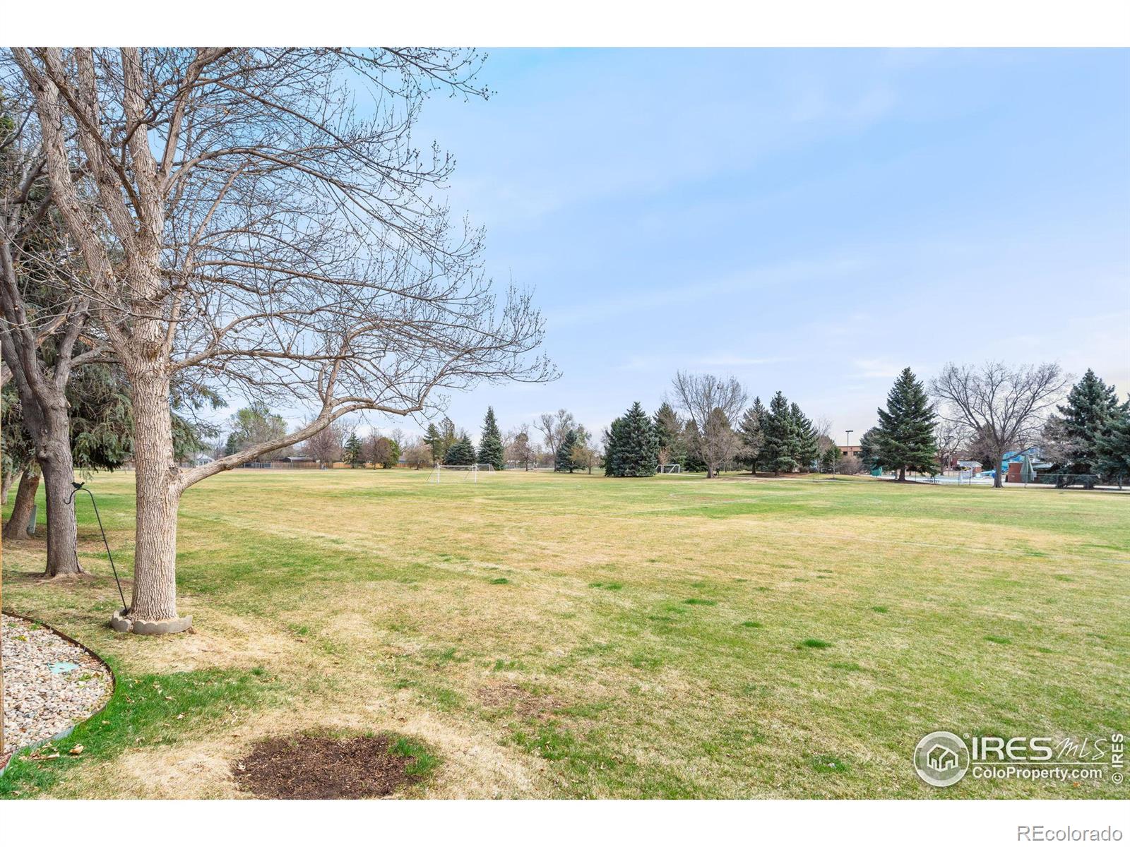 MLS Image #39 for 308  dean court,loveland, Colorado