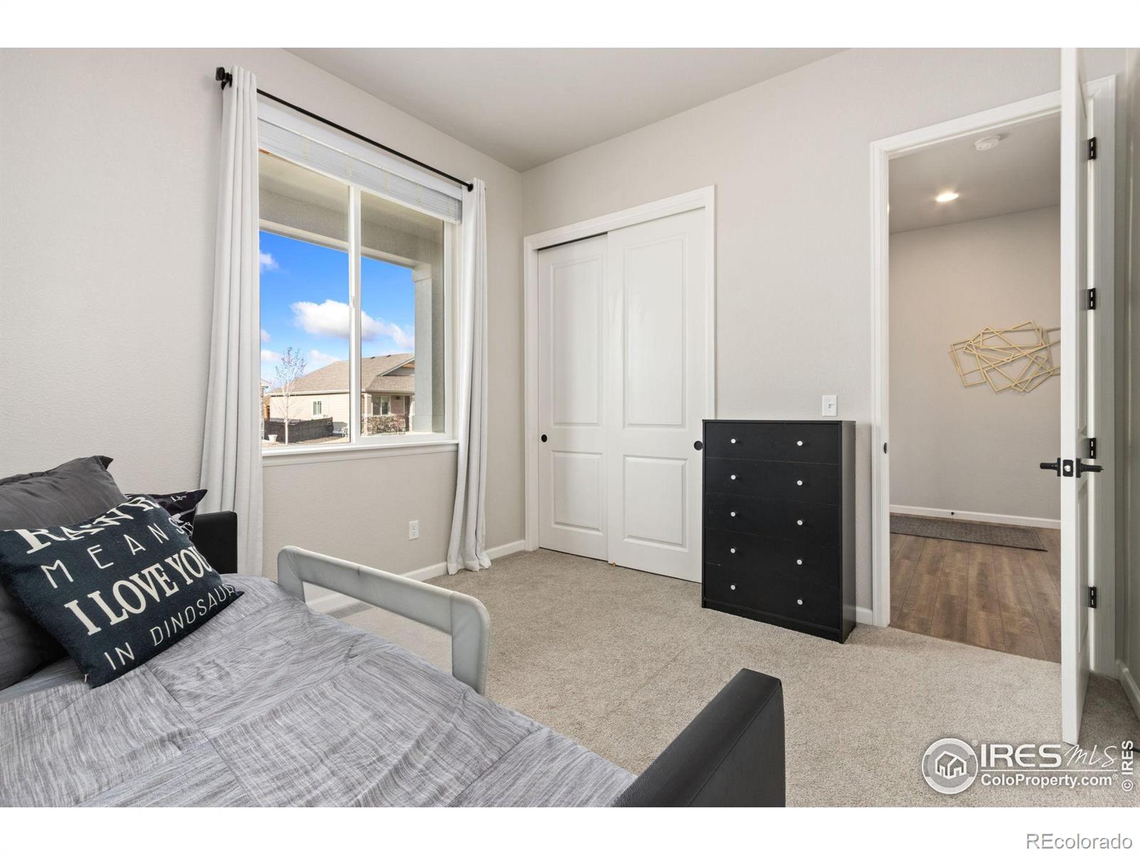MLS Image #18 for 273  saskatoon drive,windsor, Colorado