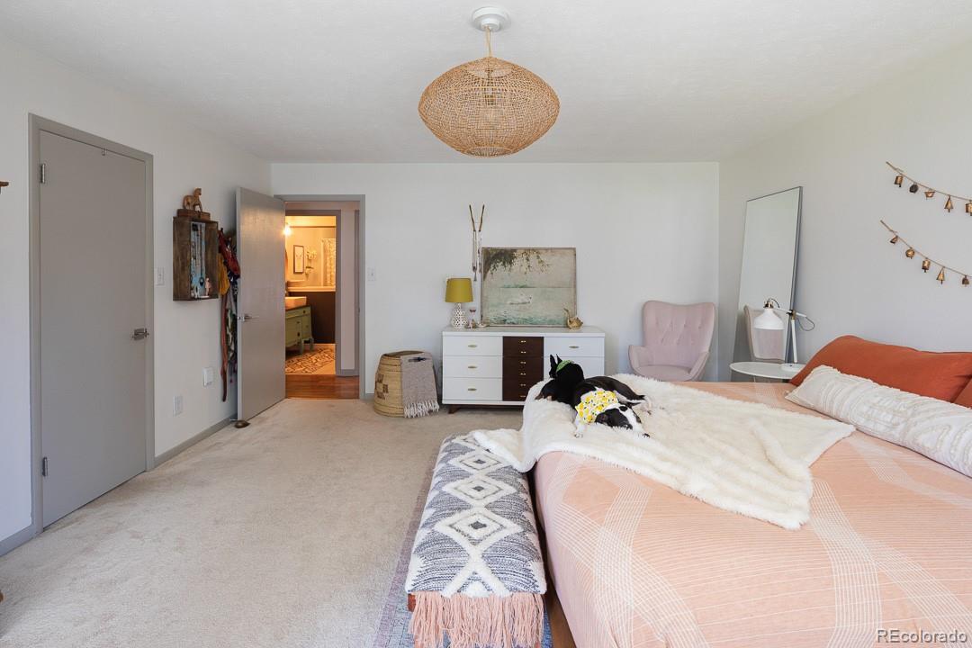 MLS Image #18 for 370 s 20th avenue,brighton, Colorado