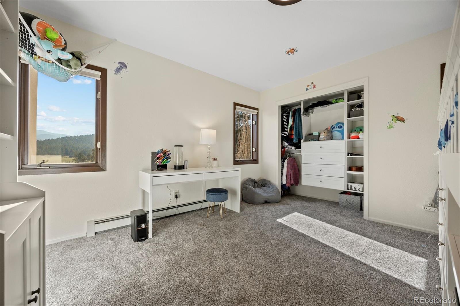 MLS Image #22 for 33379  buffalo park road,evergreen, Colorado