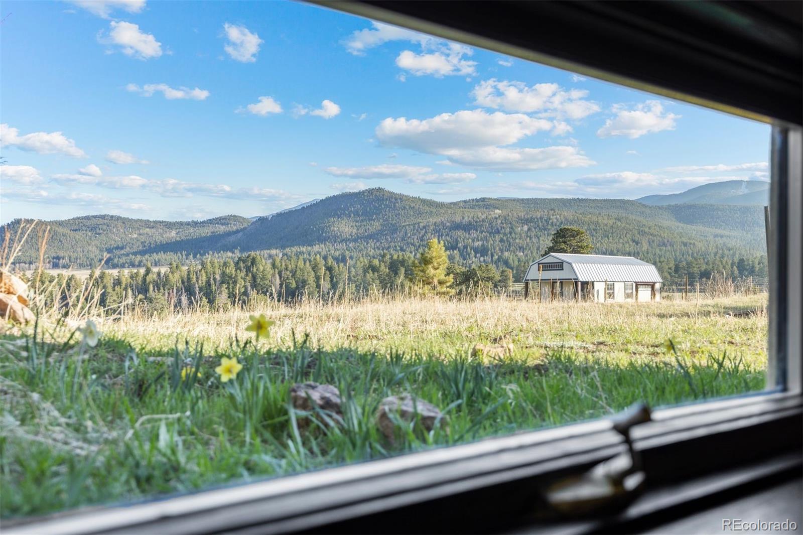MLS Image #29 for 33379  buffalo park road,evergreen, Colorado