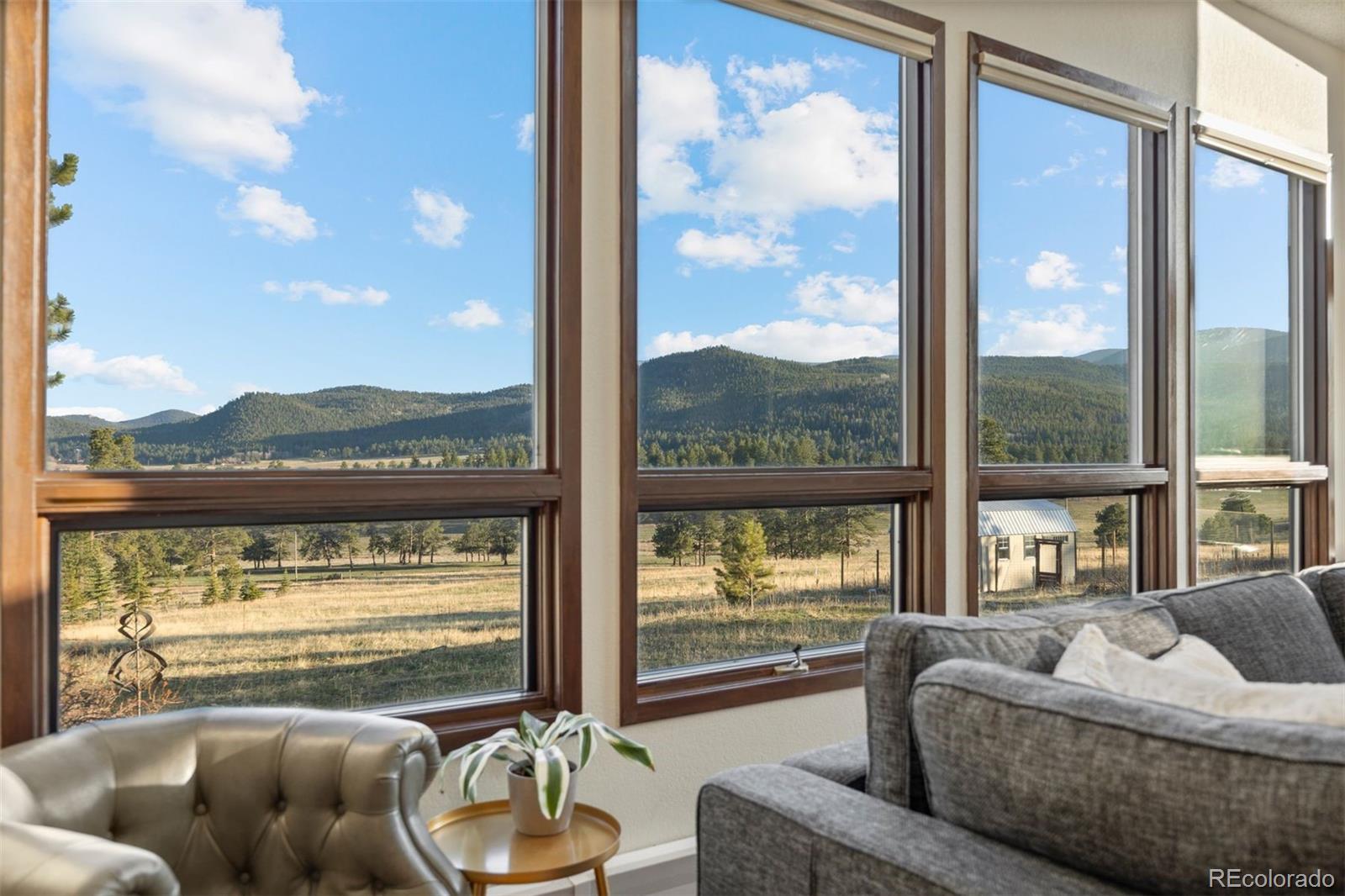 MLS Image #4 for 33379  buffalo park road,evergreen, Colorado