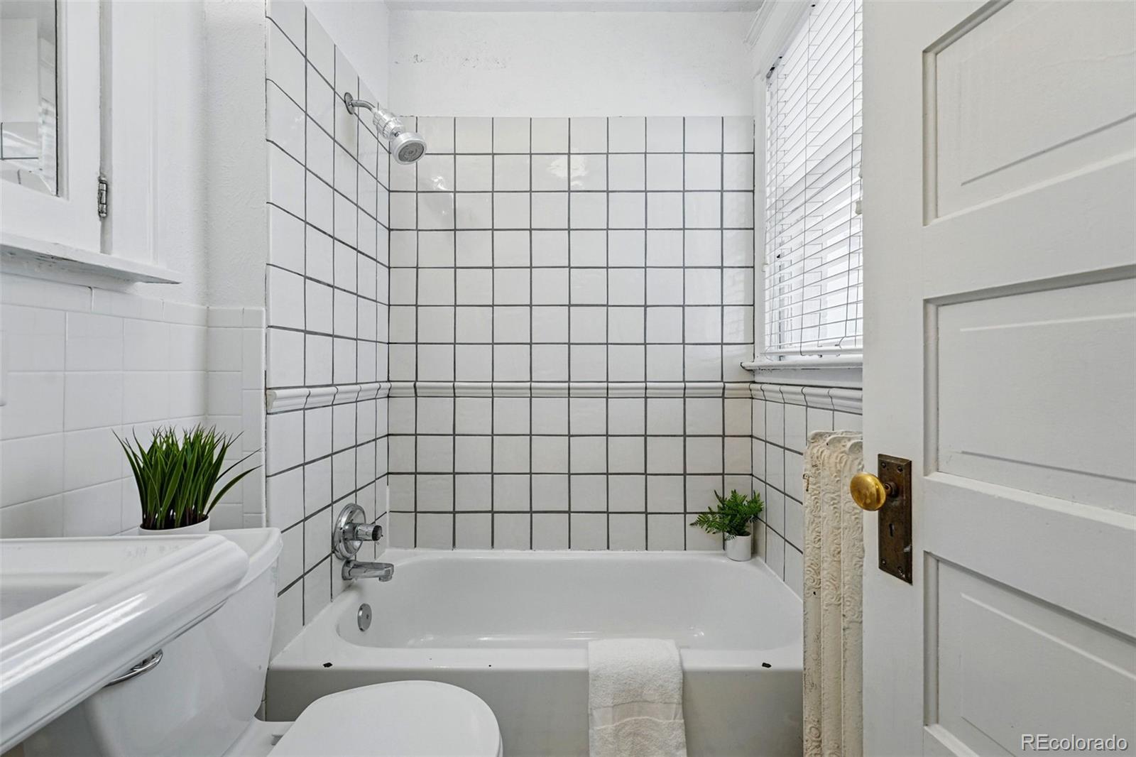 MLS Image #18 for 1239 n lafayette street,denver, Colorado
