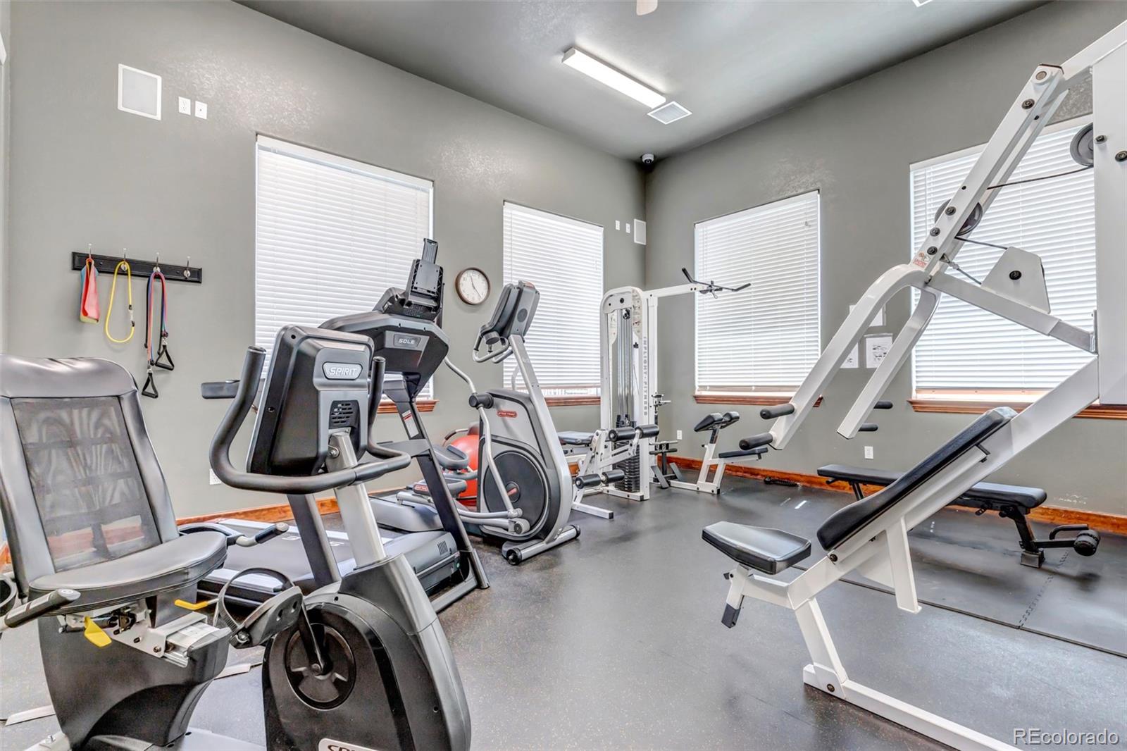 MLS Image #28 for 7005  ash creek heights,colorado springs, Colorado